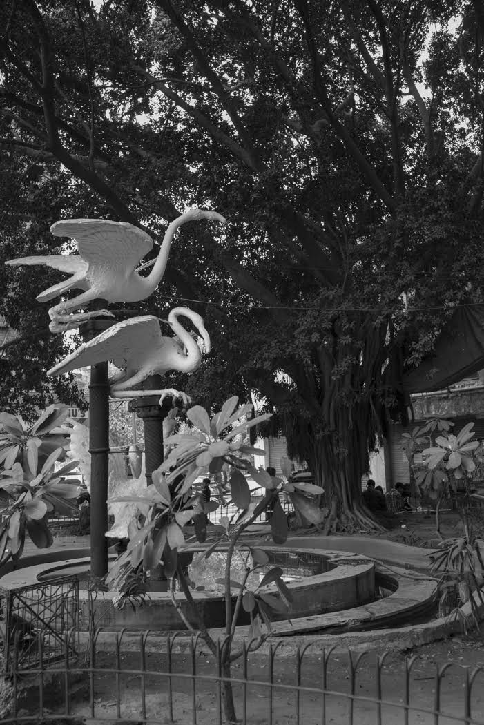 And of course there was Delhi's the wildlife