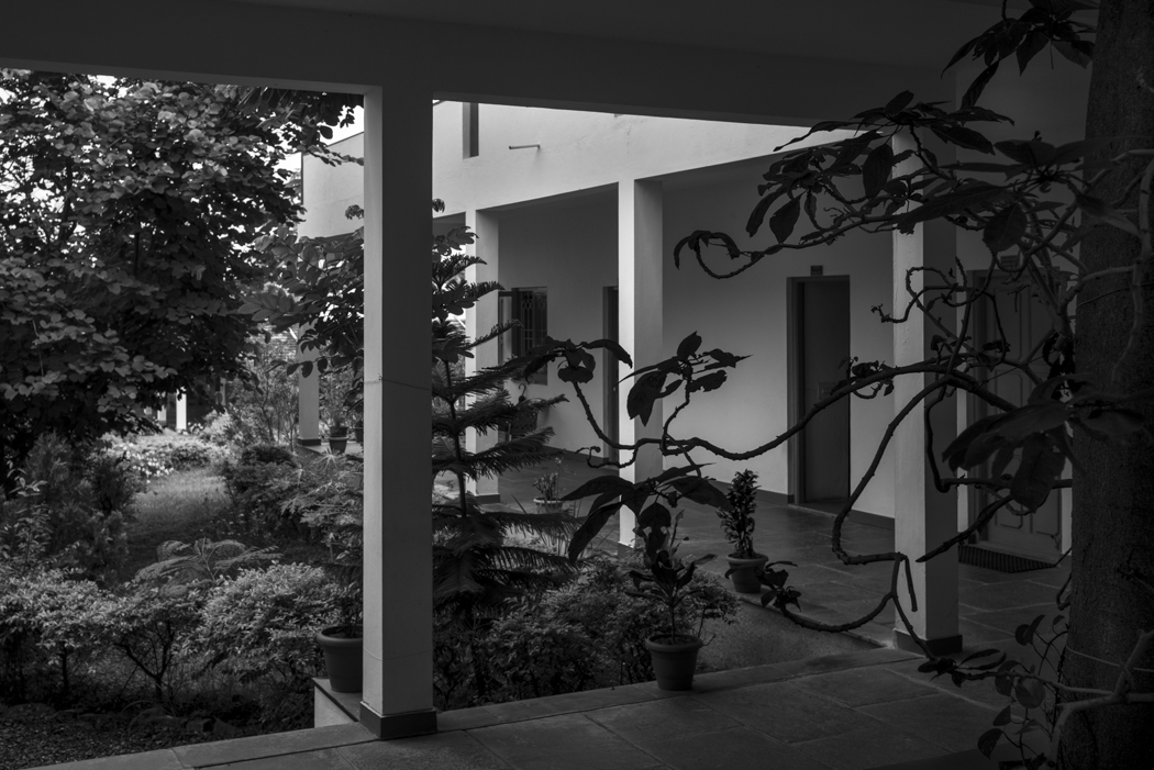 as jungle creeps in