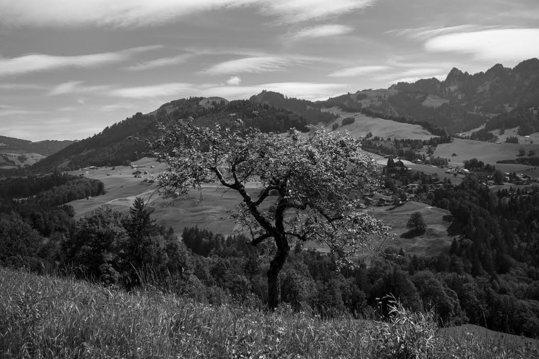 and enjoy a gastronomic extravaganza in the mountains.