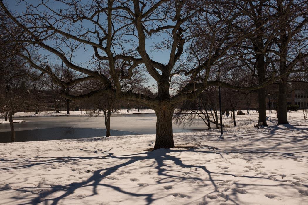 and soon it snowed