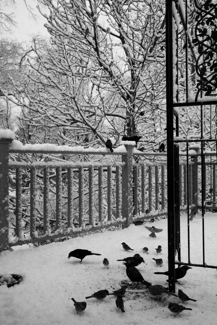 It really really snowed!!!