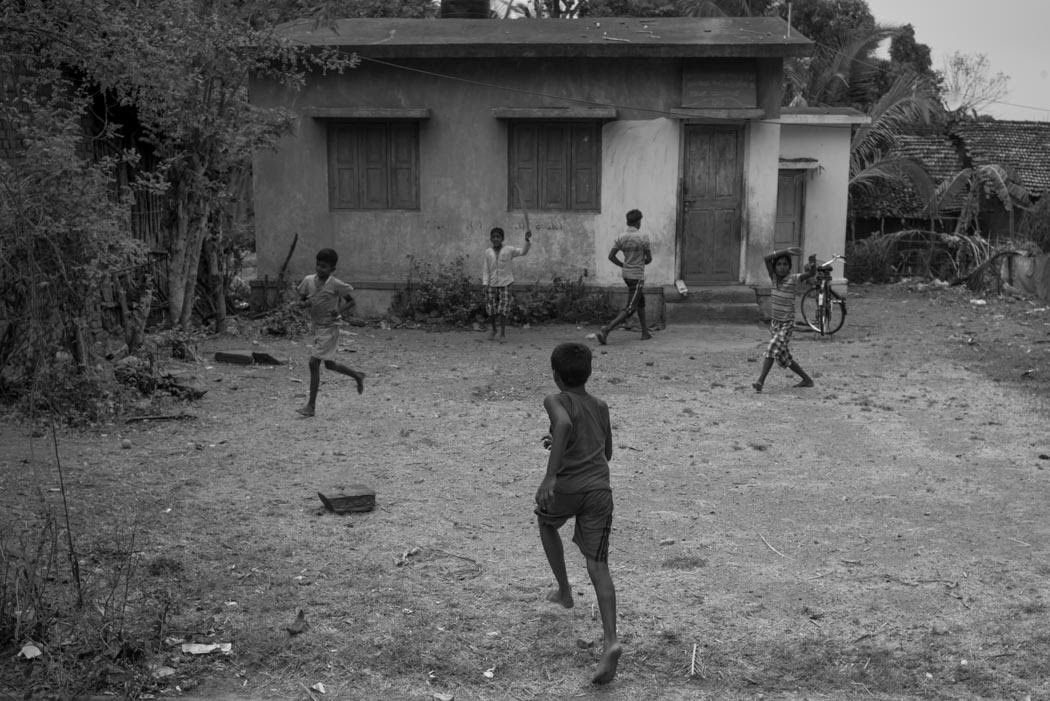 or play cricket