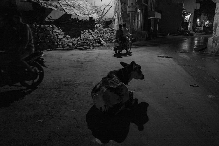 Good night Jaipur