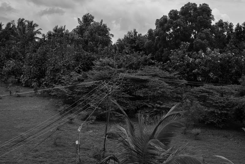 before returning to enjoy my evening view of nature