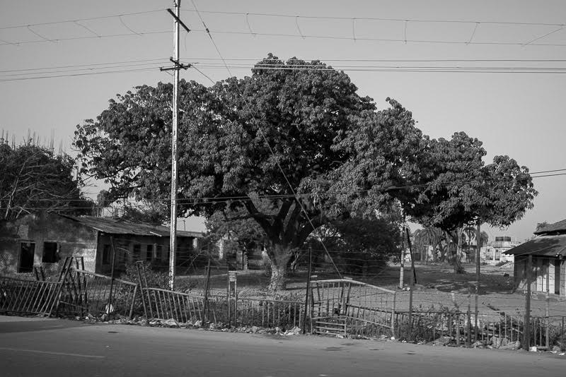 with lovely old trees preserved along the way