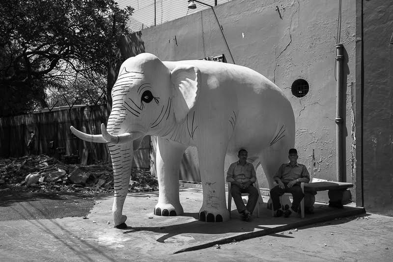 Hello from under the elephant of bureaucracy