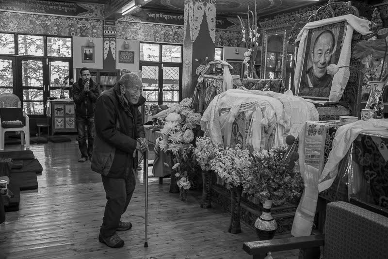 Rinpoche awaits a khata to offer to the throne of His Holiness