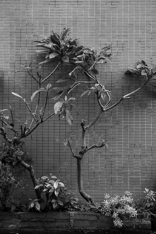with its gardens