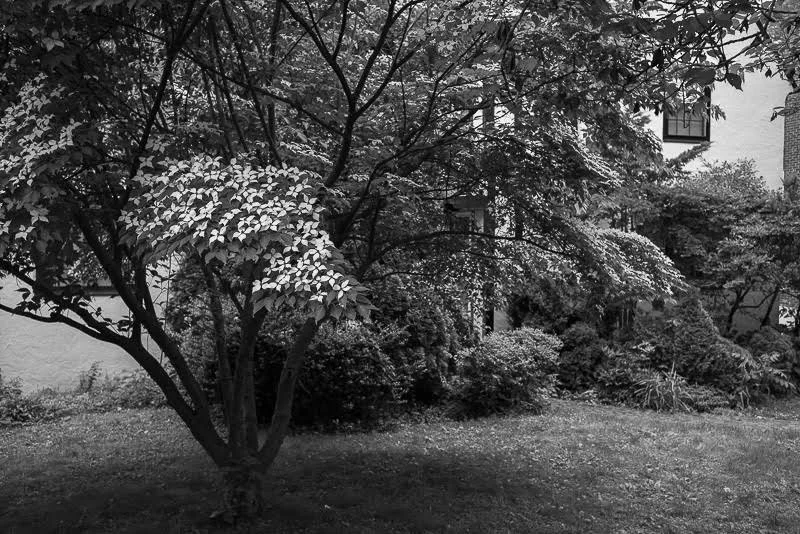 to photograph the neighborhood