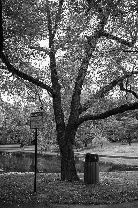 Home is now the garden state