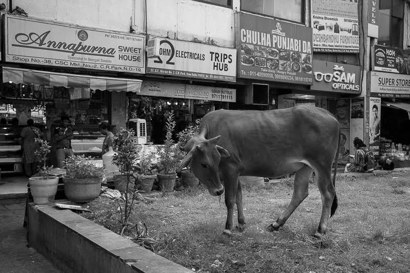 Then finally back to India