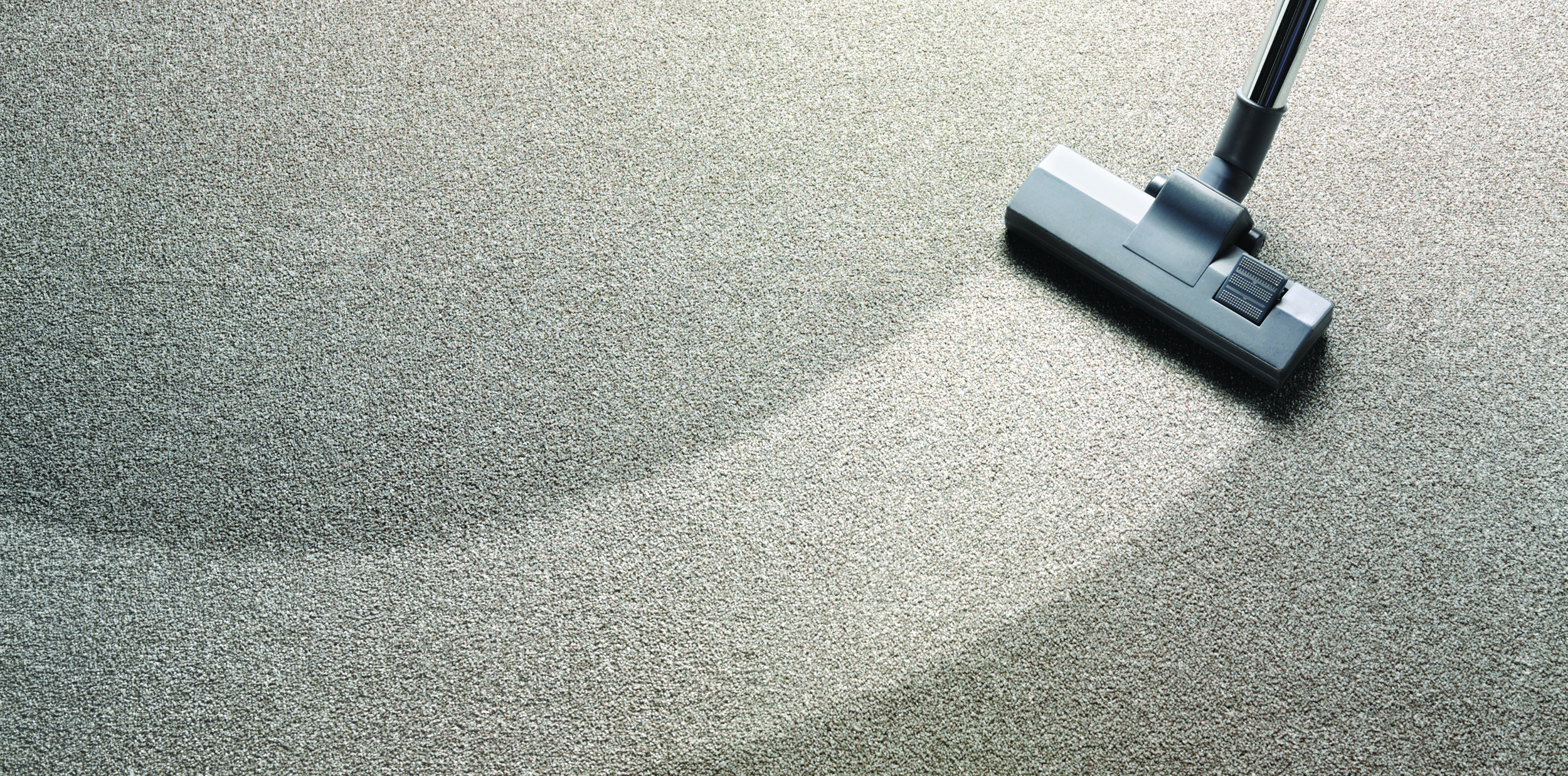Professional Carpet Cleaning Services In Bloomington Il