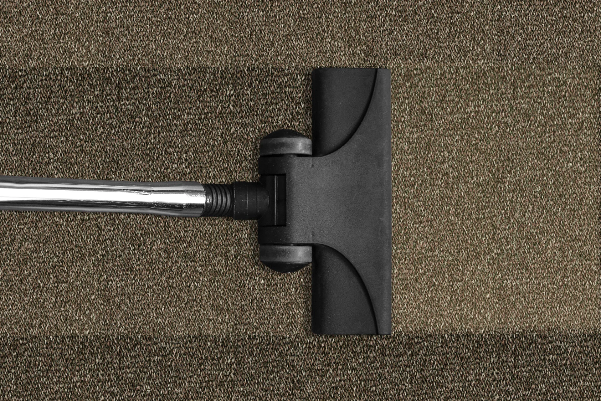 CarpetGreen.jpg