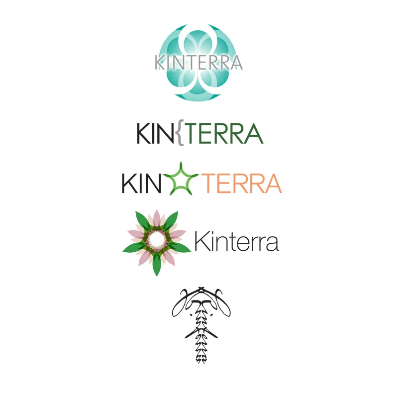 Kinterra