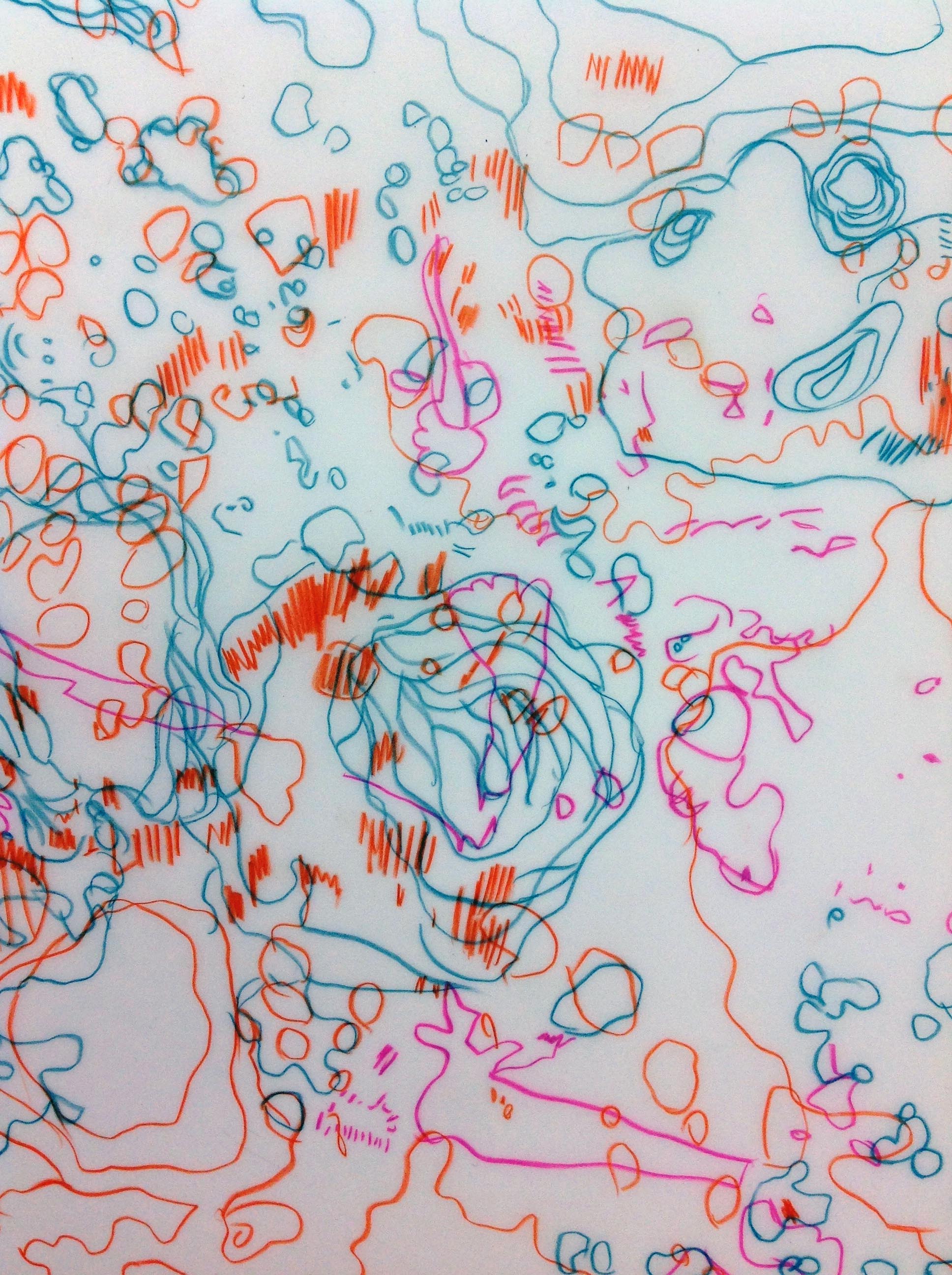Detail of drawing from Tracing #121 pencil crayon on Mylar