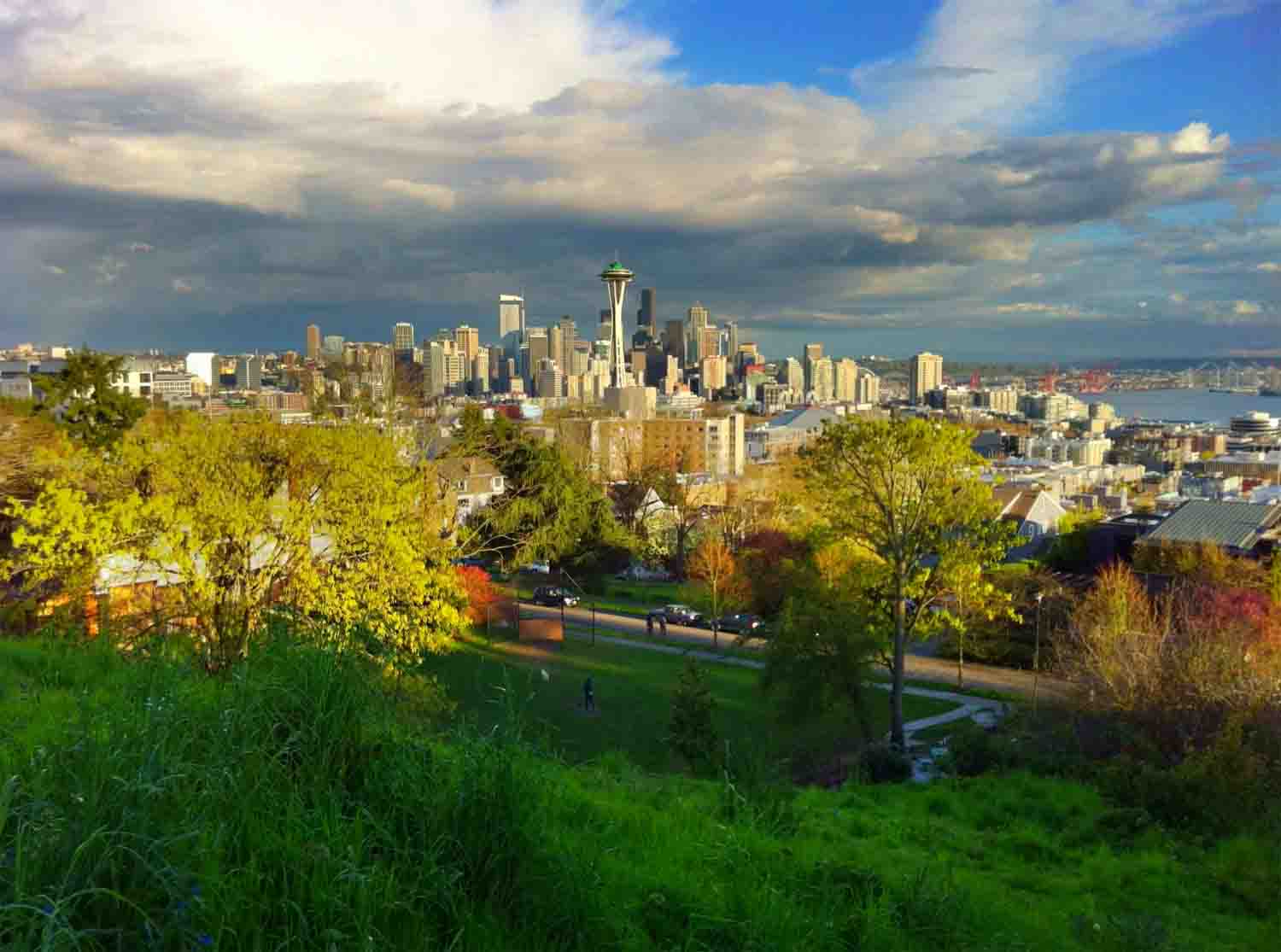 Seattle skyline from Queen Ann Hill copy.jpg