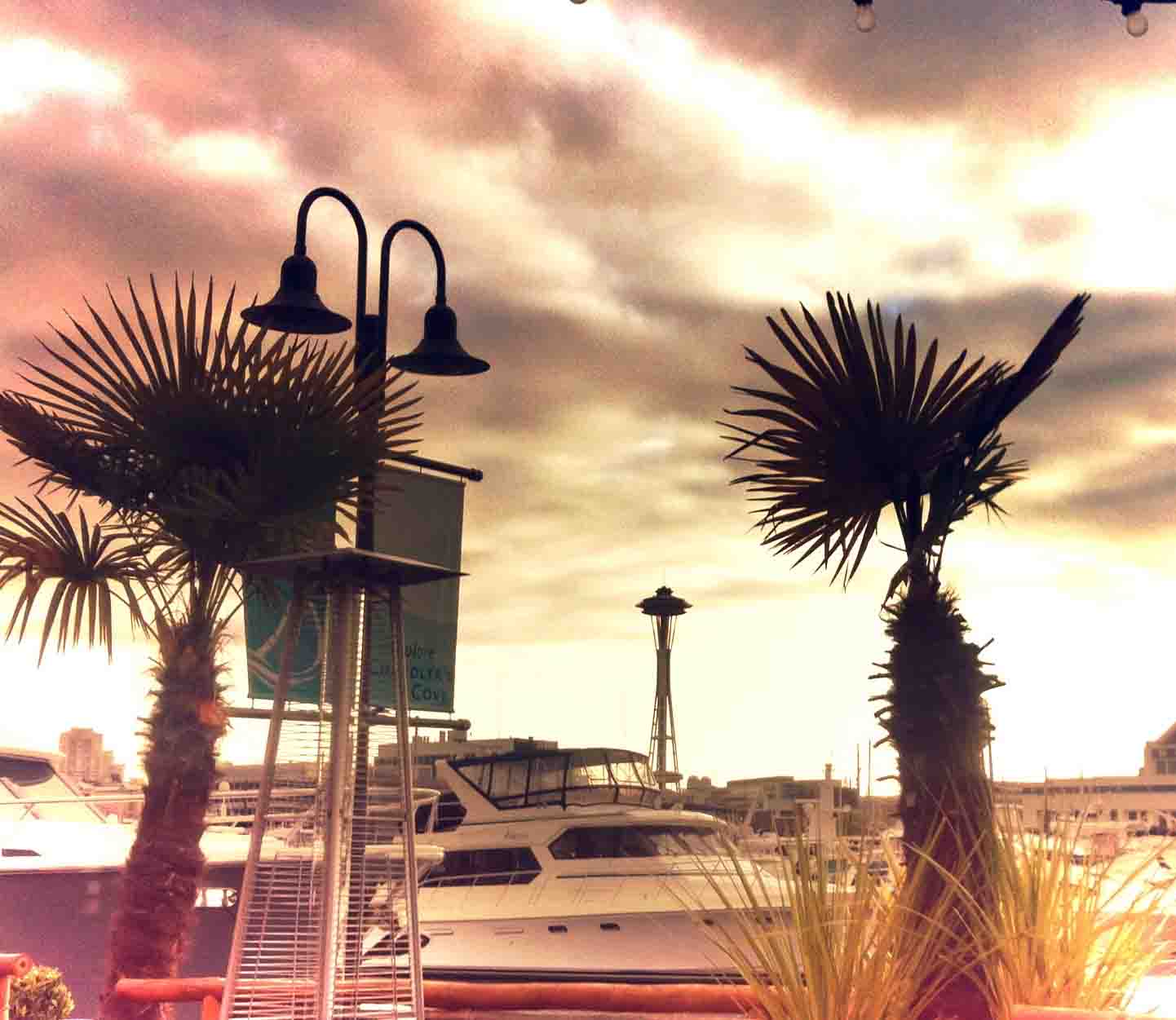 palm trees and Space Needle copy.jpg