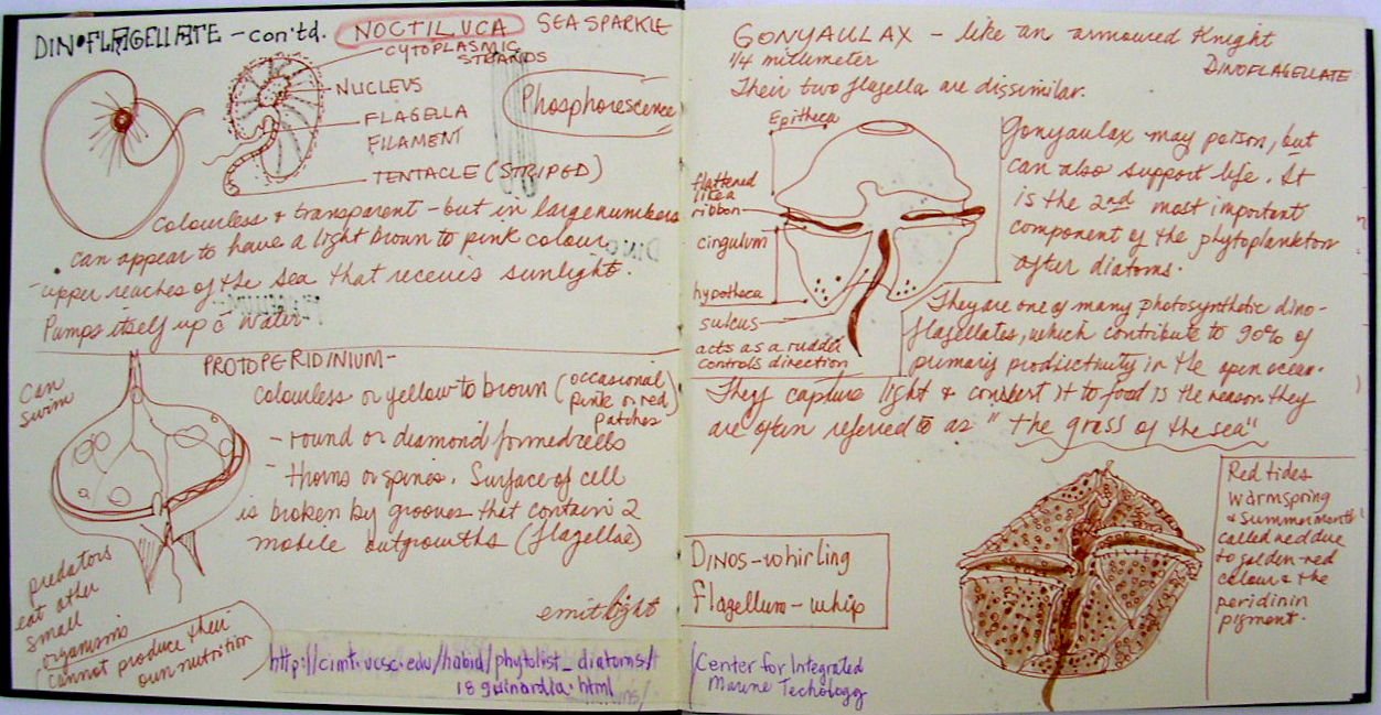 DSCN3931.JPG