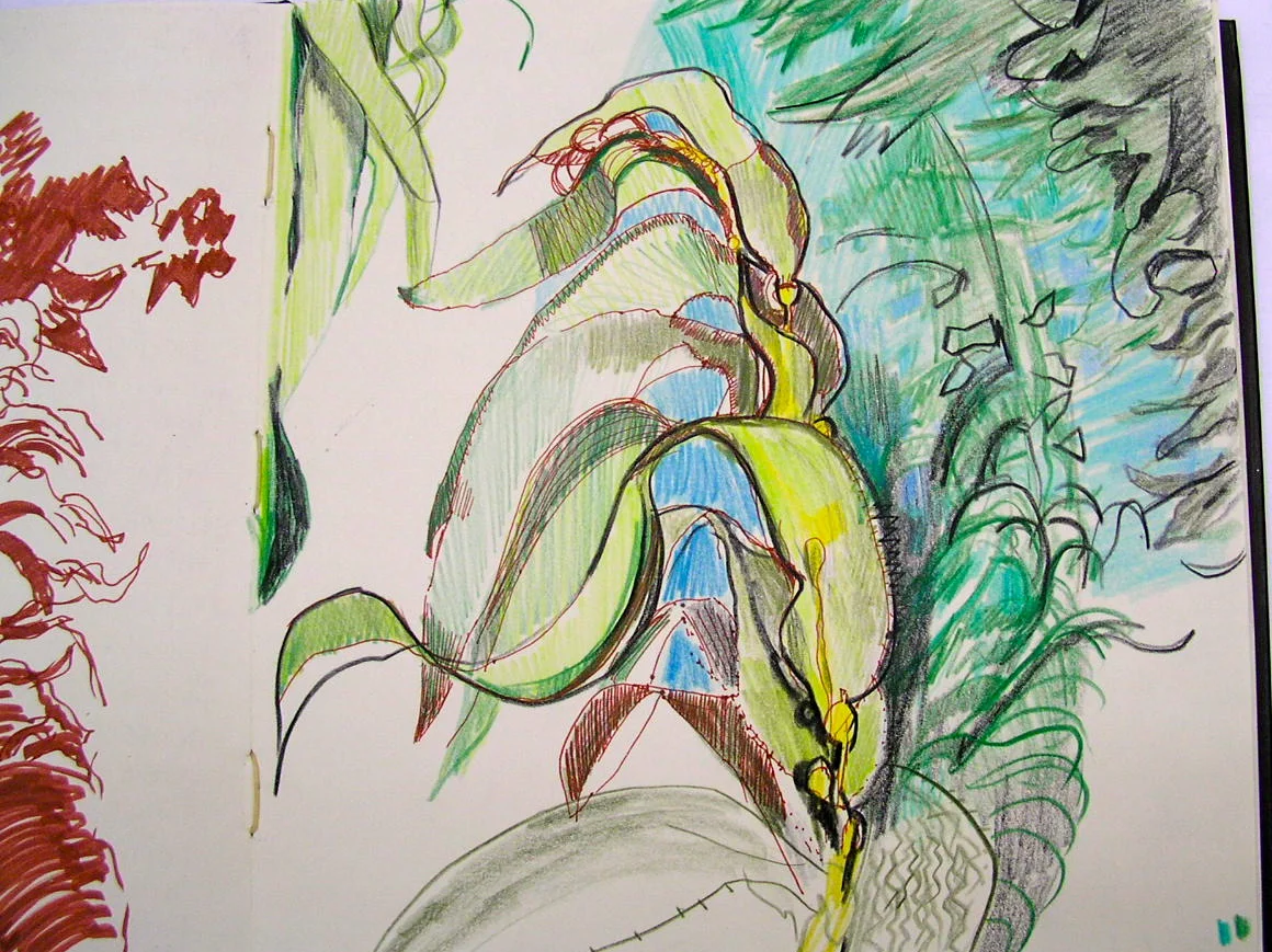 DSCN3945.JPG