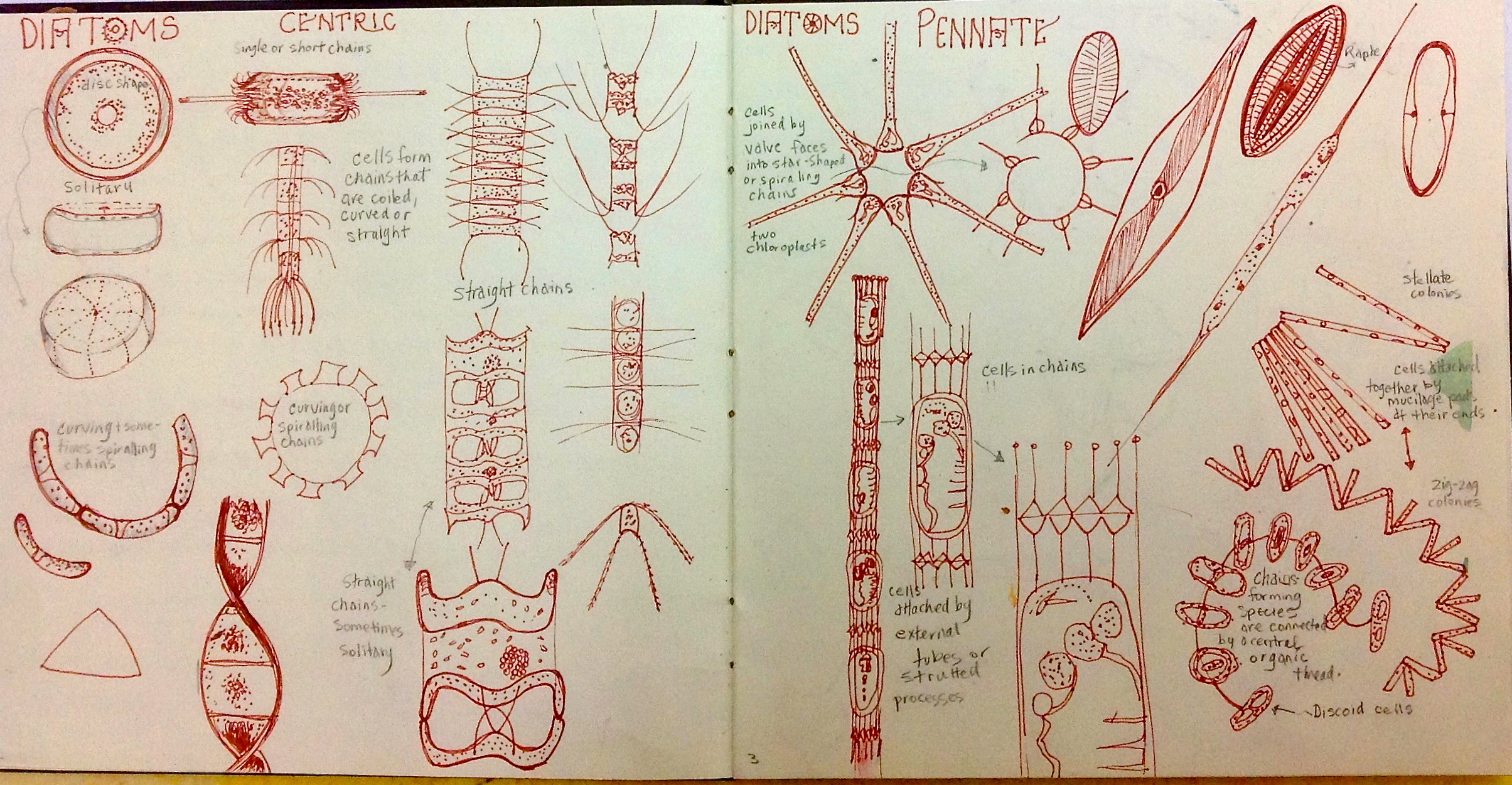 Image 3.jpg