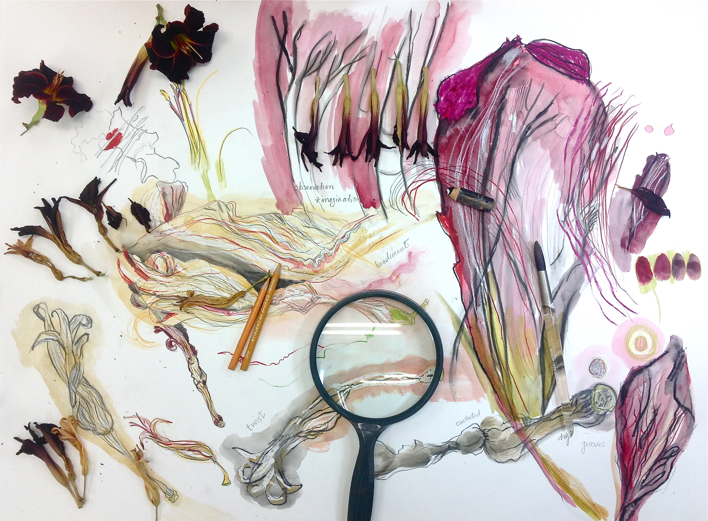 Jill Ehlert ©