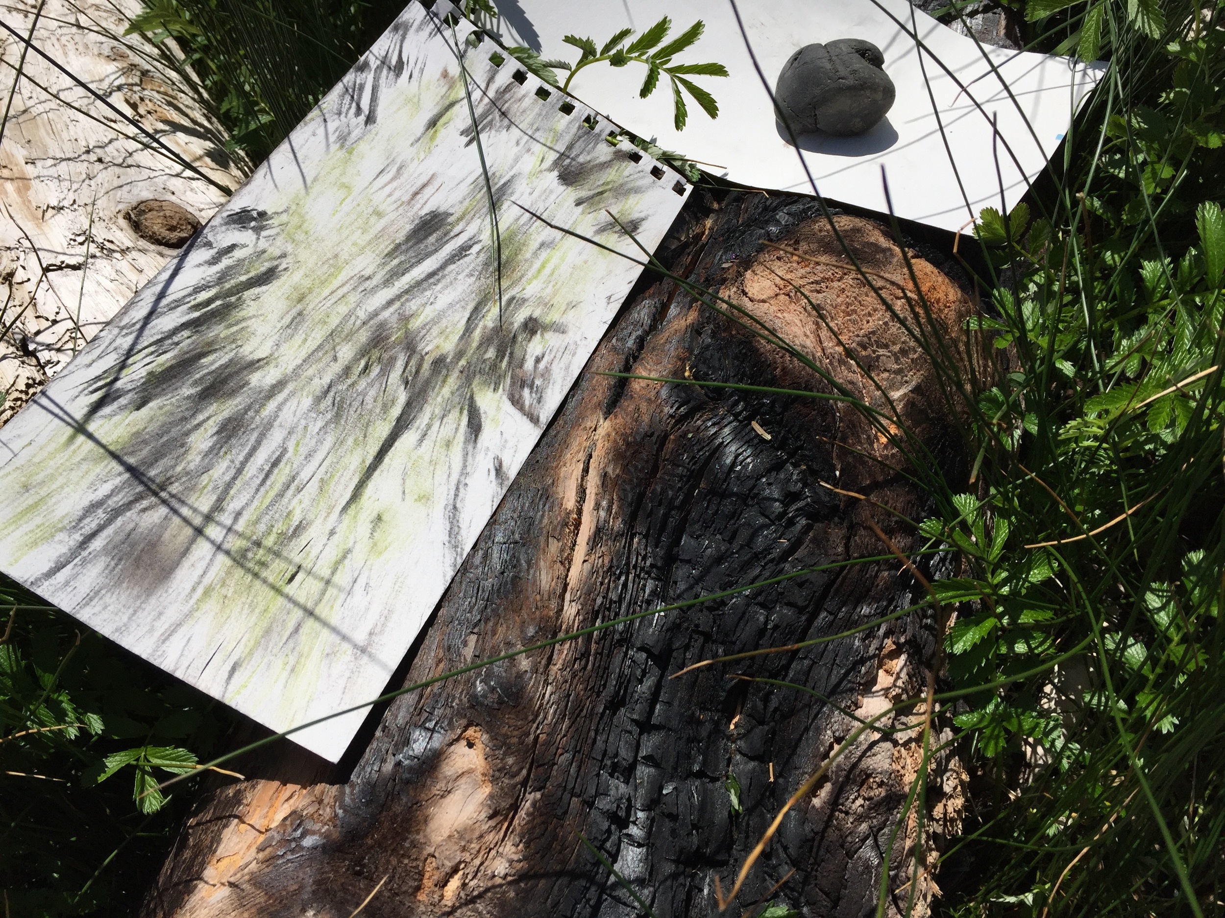 This burnt log was on the beach, I used it to apply charcoal marks on my paper by dragging my paper across it. The green marks are from leaves I dragged the paper over and used a rock o pound some of the colour out.. These pieces will make a good backgrounds for future work.