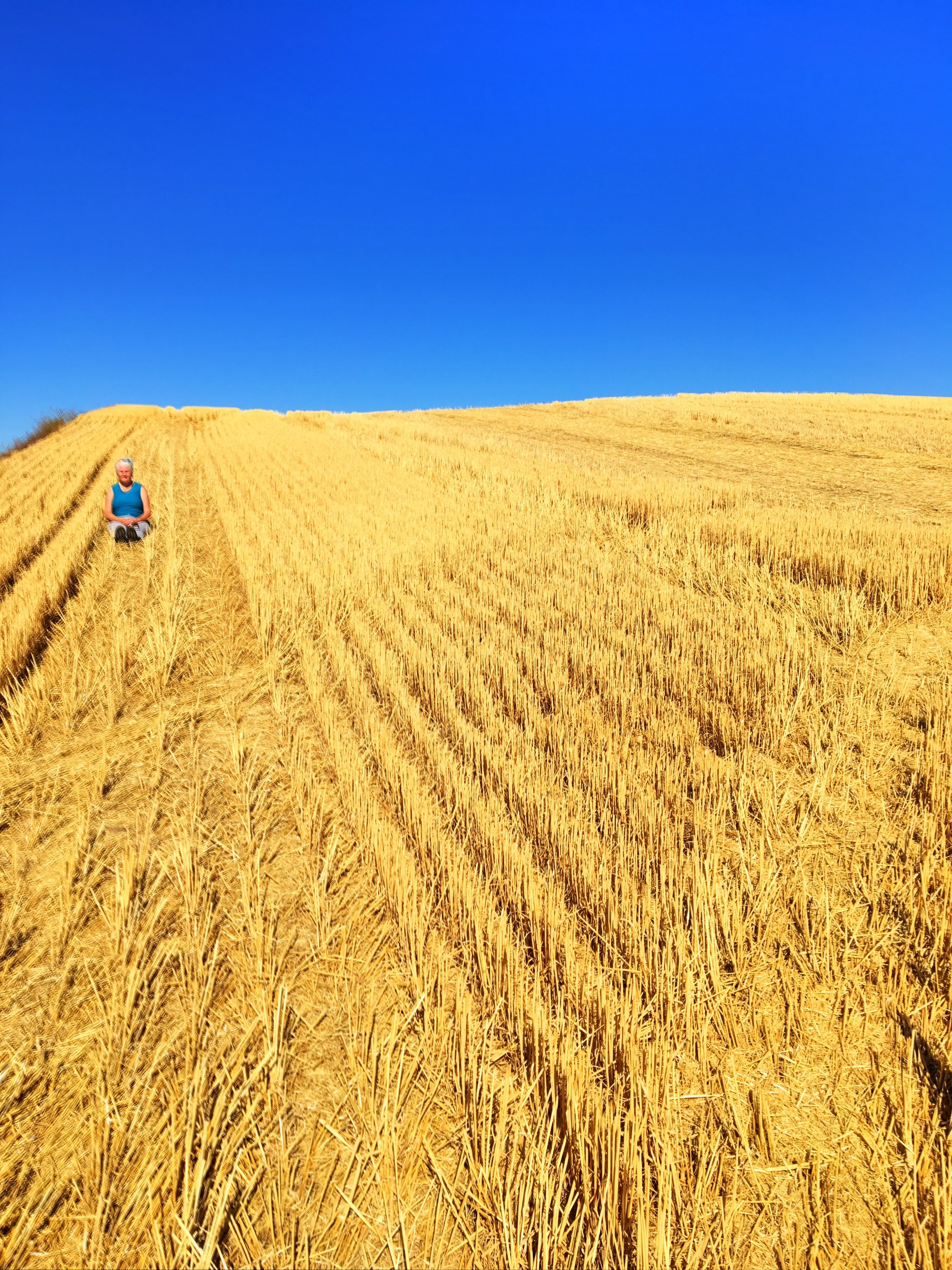 Sitting in this wonderful wheat field just after harvest time. A wonderful feeling of being alone in nature, hearing just the breeze and no one around for miles.