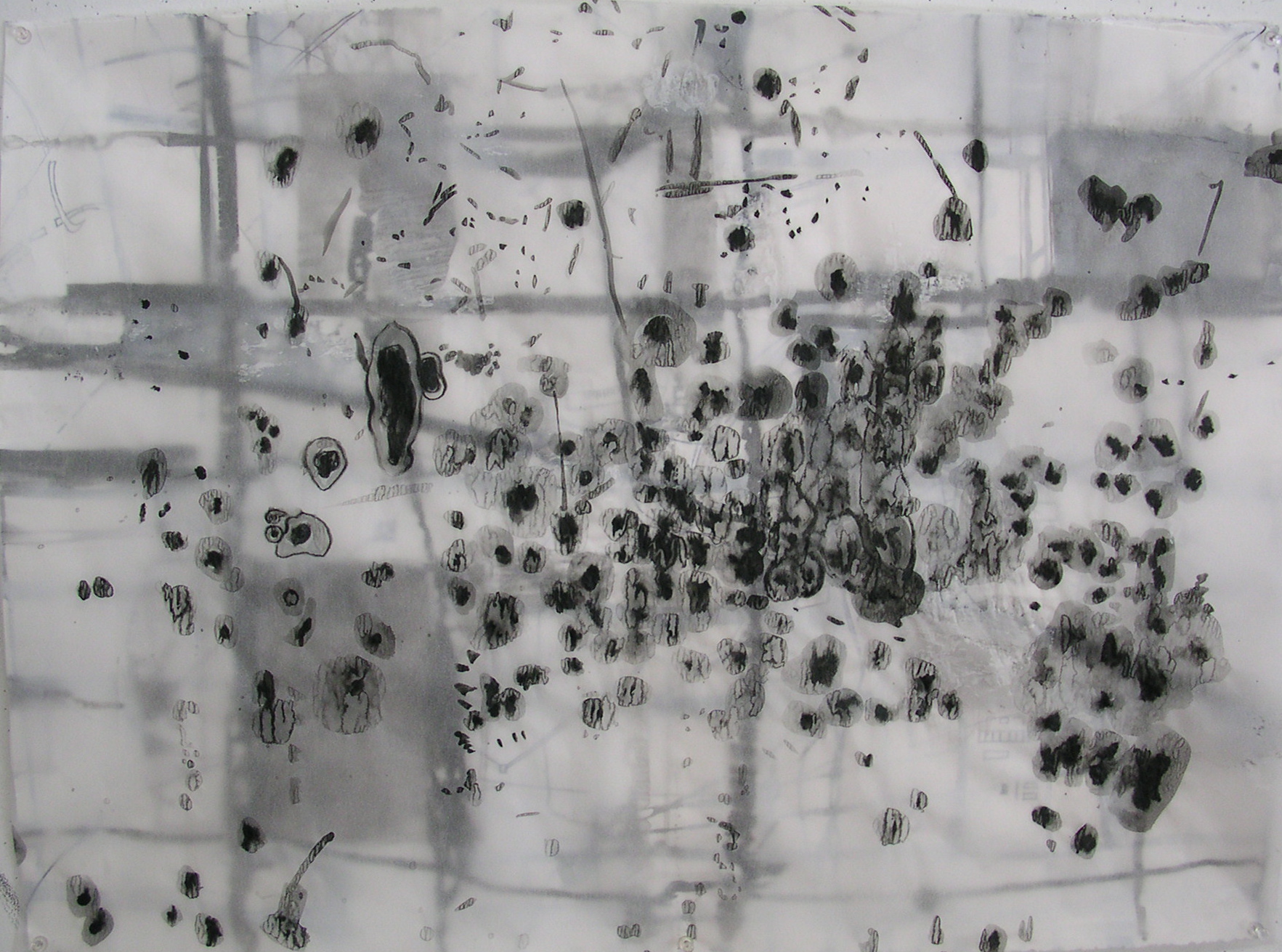 Jill Ehlert