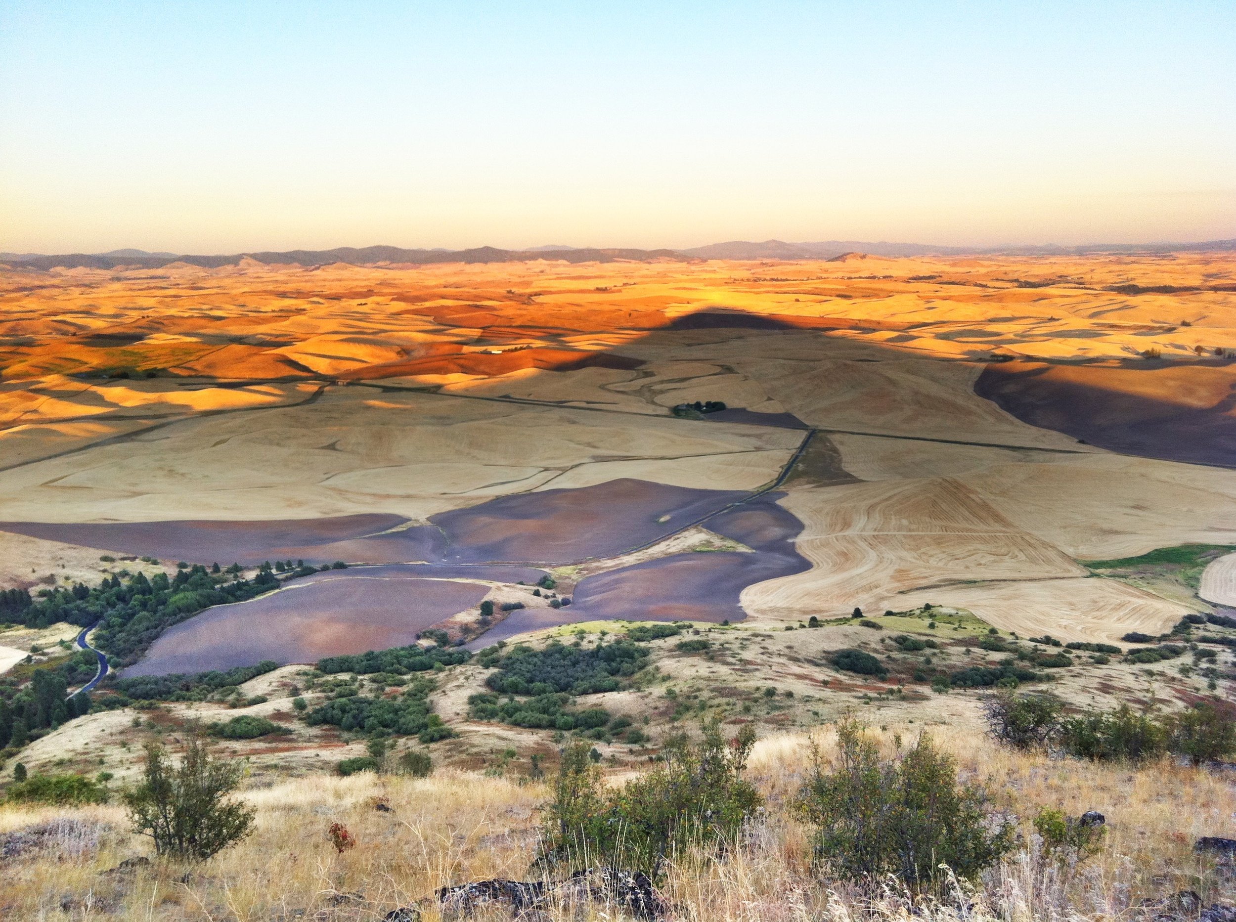 3,612 feet at the summit of Steptoe Butte; this shows the shadow of the butte on the wheat fields below as the sun is setting.