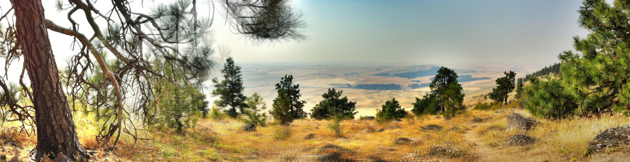 Panorama - at the top of Kamiuk Butte - 1000 feet - a hazy day from fires burning in Idaho