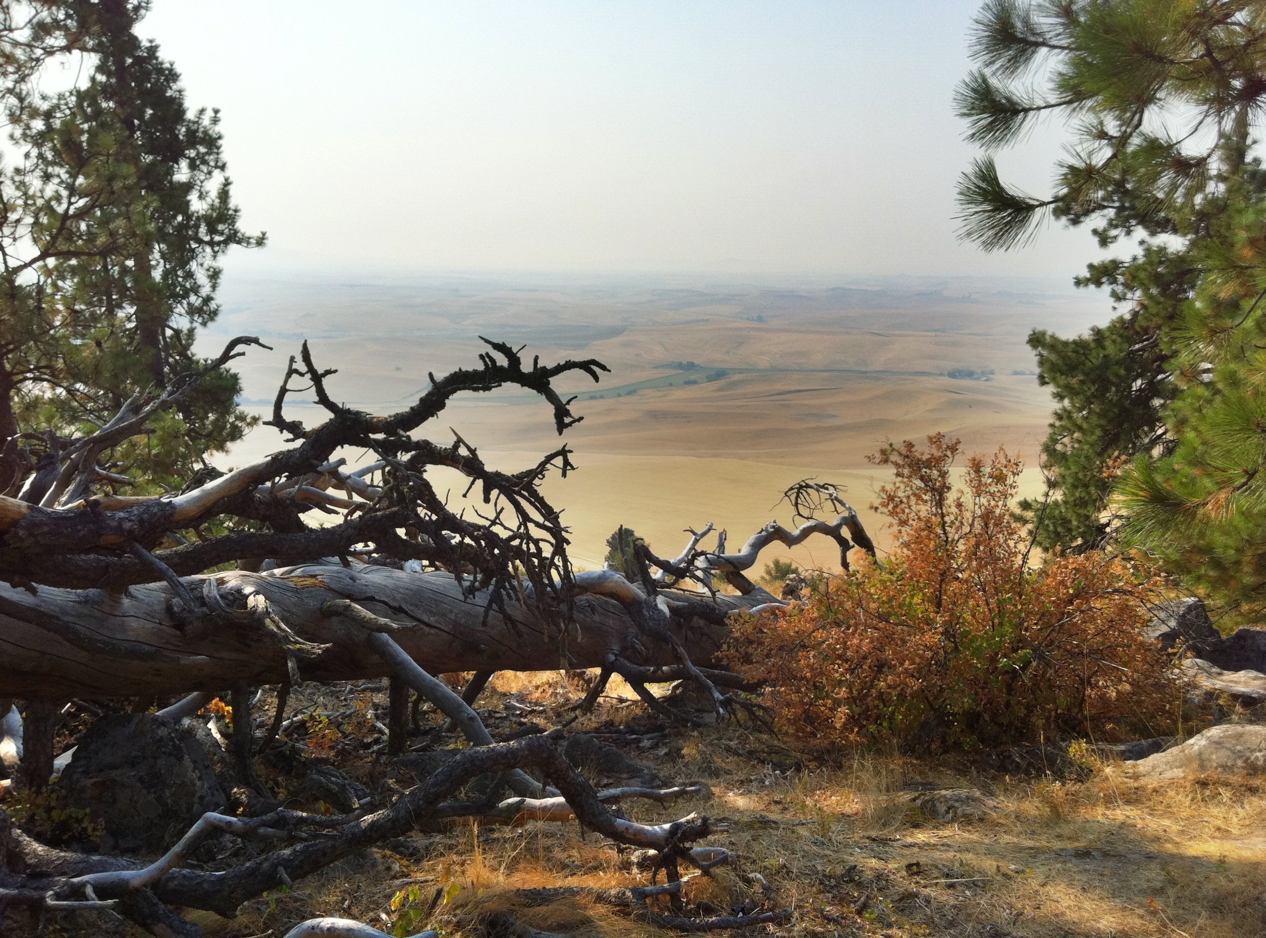 Kamiuk Butte - a hazy day - fires burning in Idaho