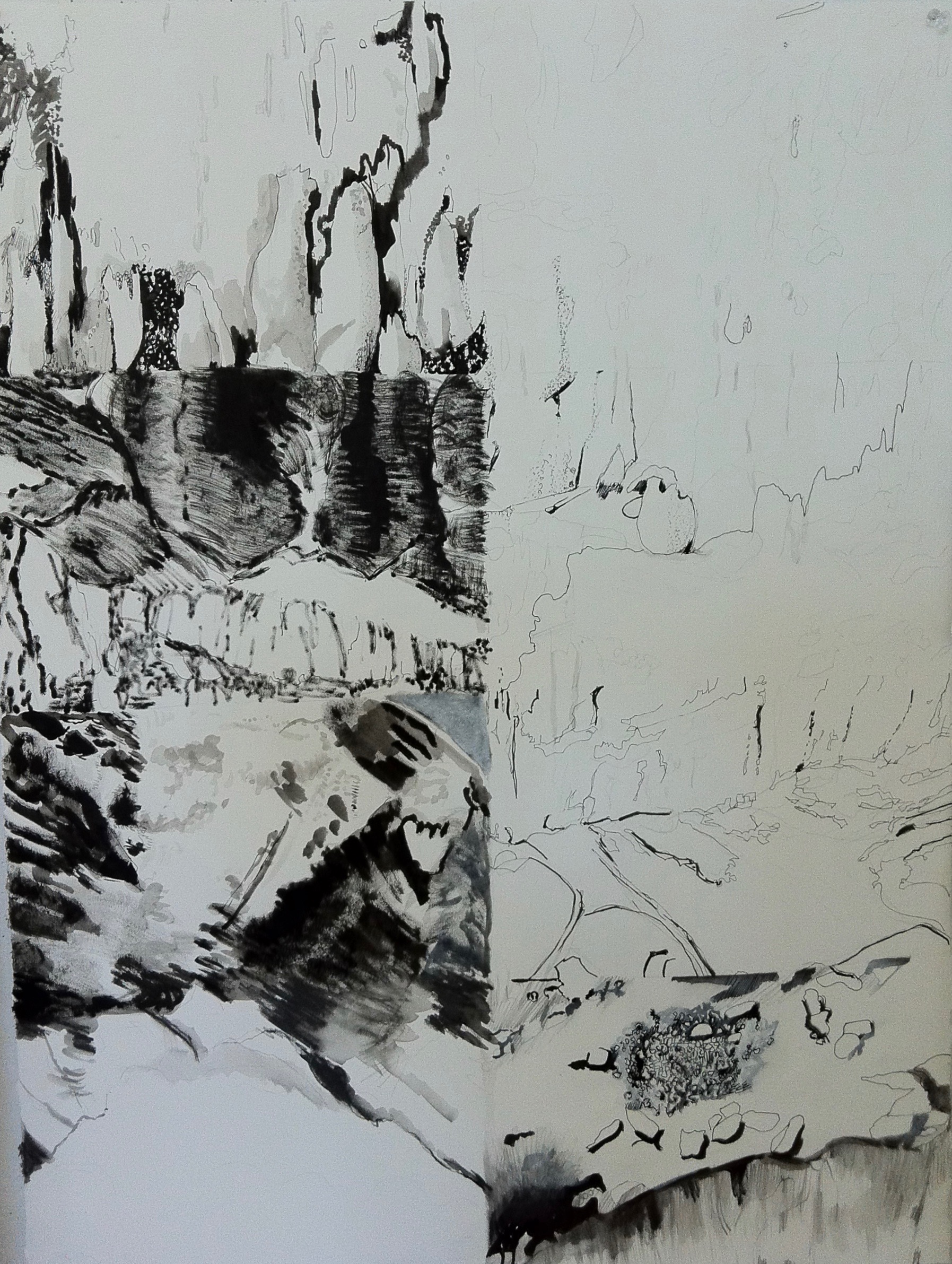 Fragmented Landscape Drawing - Jill Ehlert