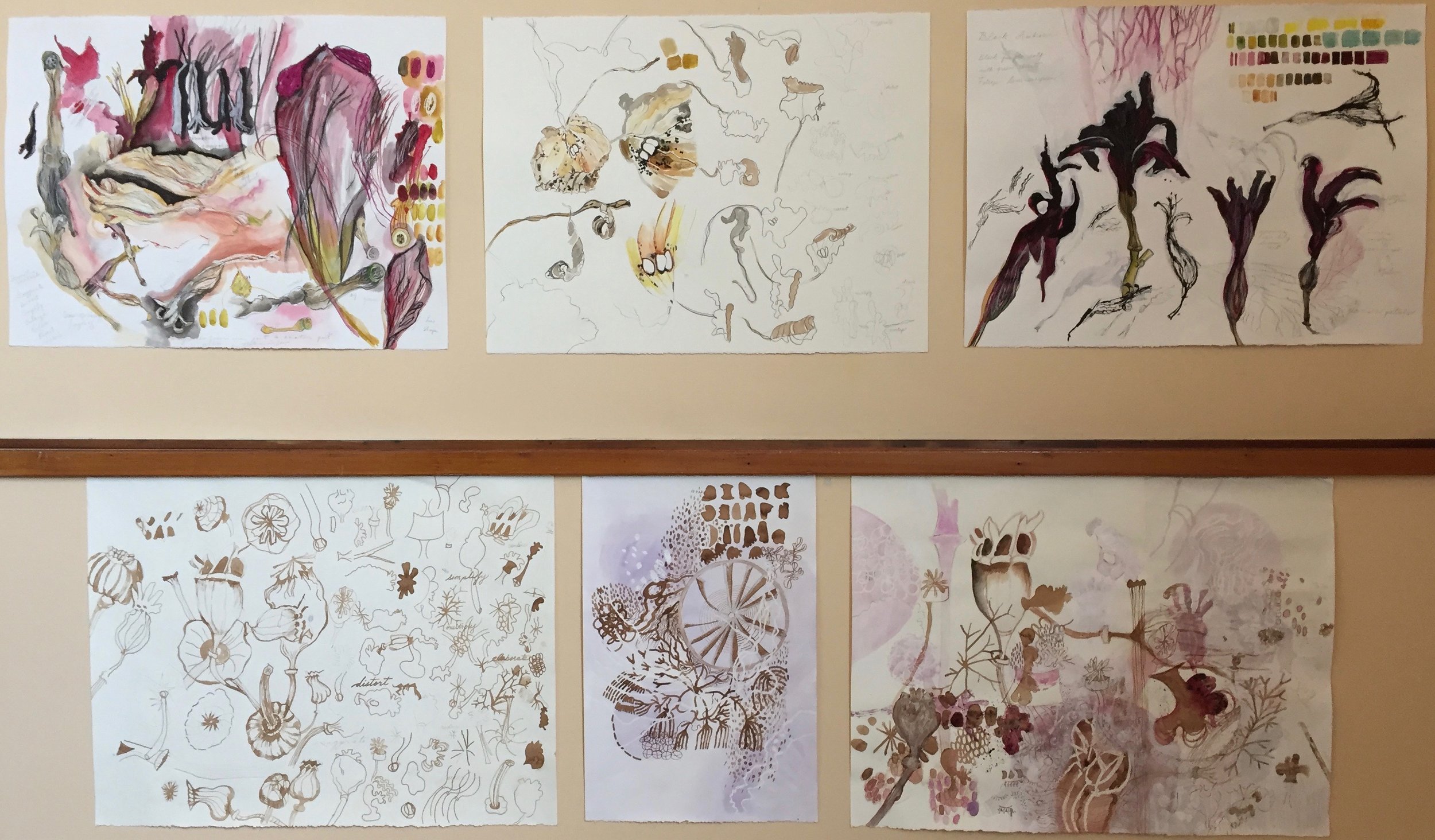 Jill Ehlert - Nature Studies