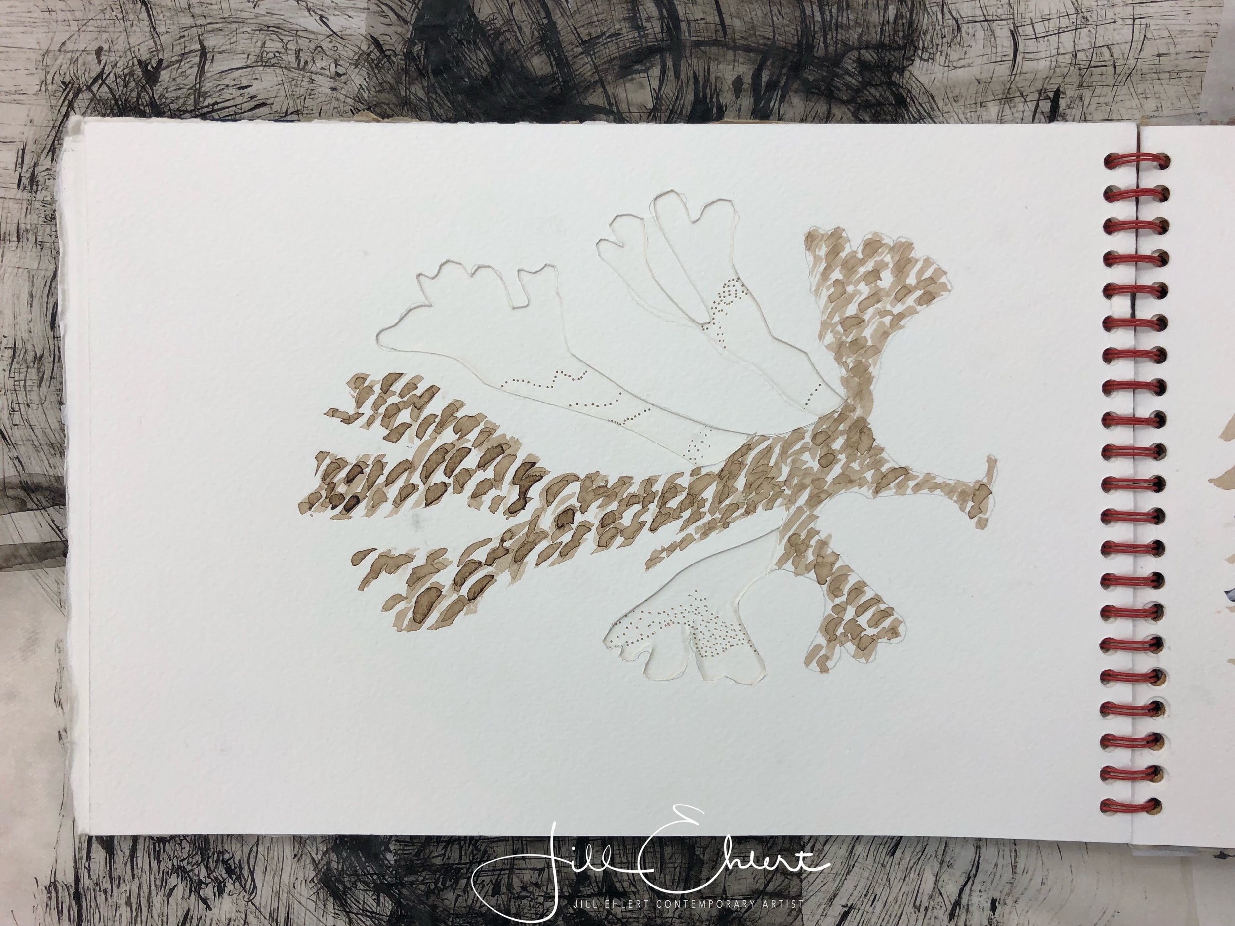 Cutting and dip pen with walnut ink.