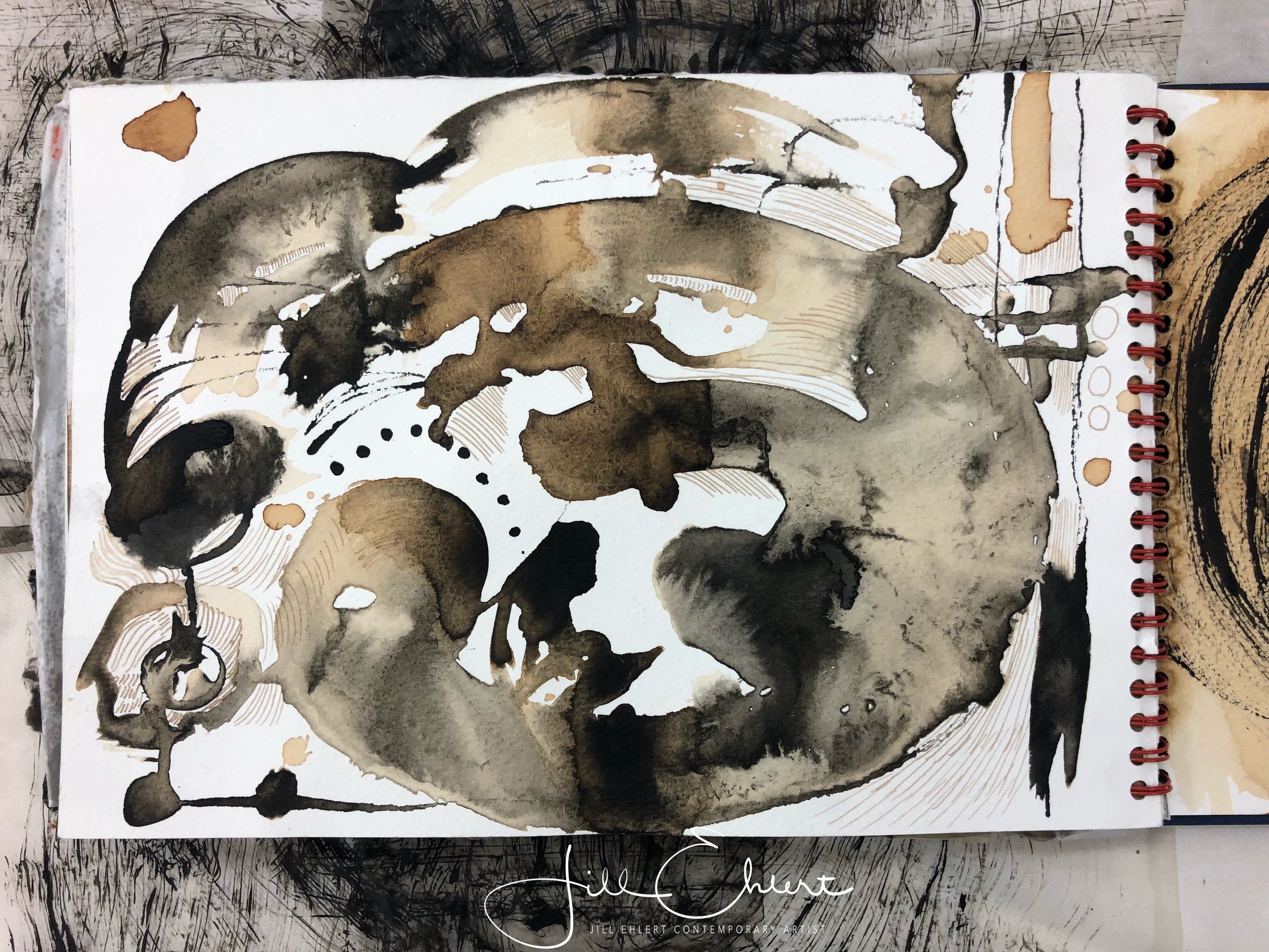 Fluid drawing with India ink and walnut ink.