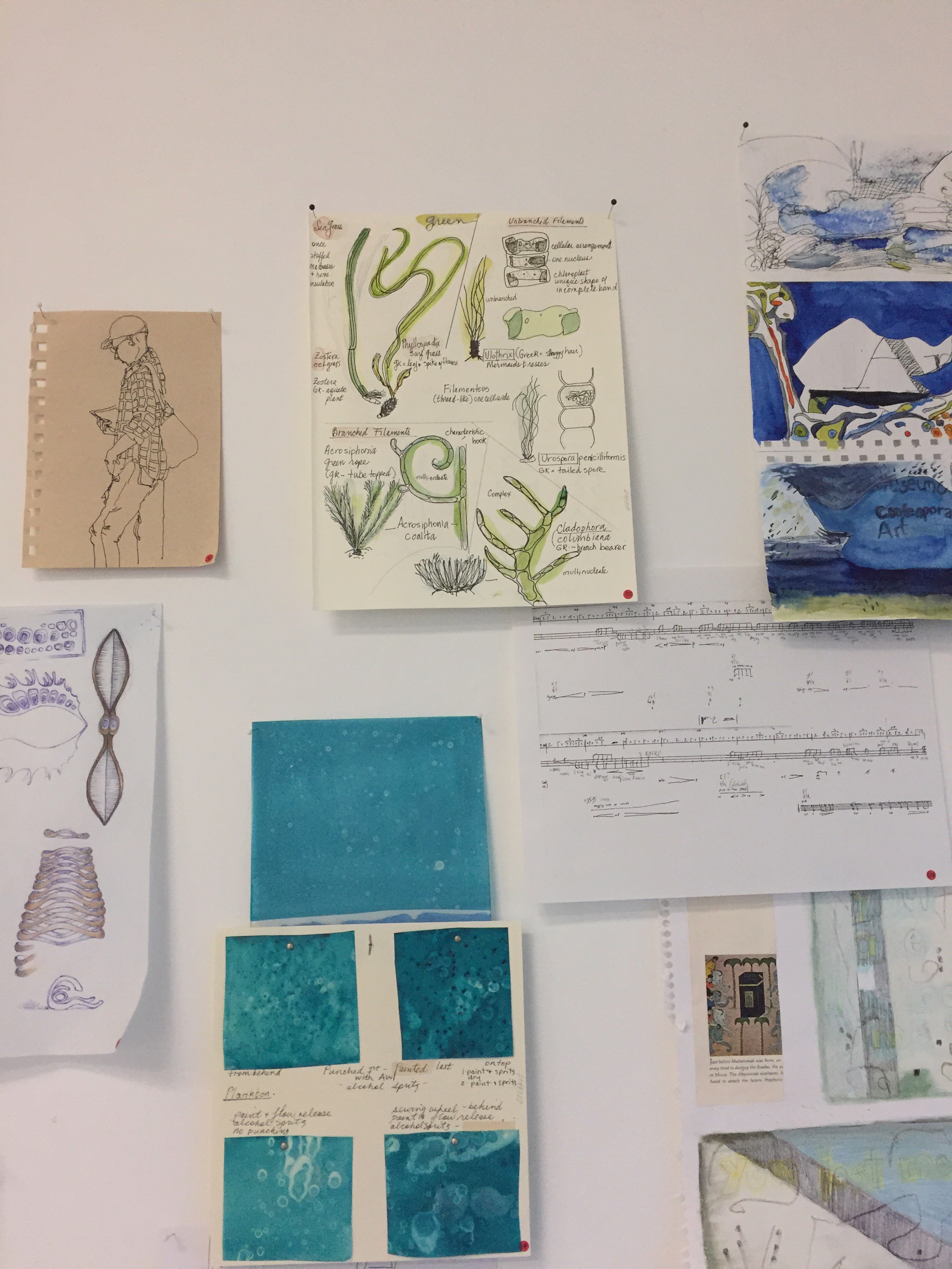 Jill Ehlert - plankton studies
