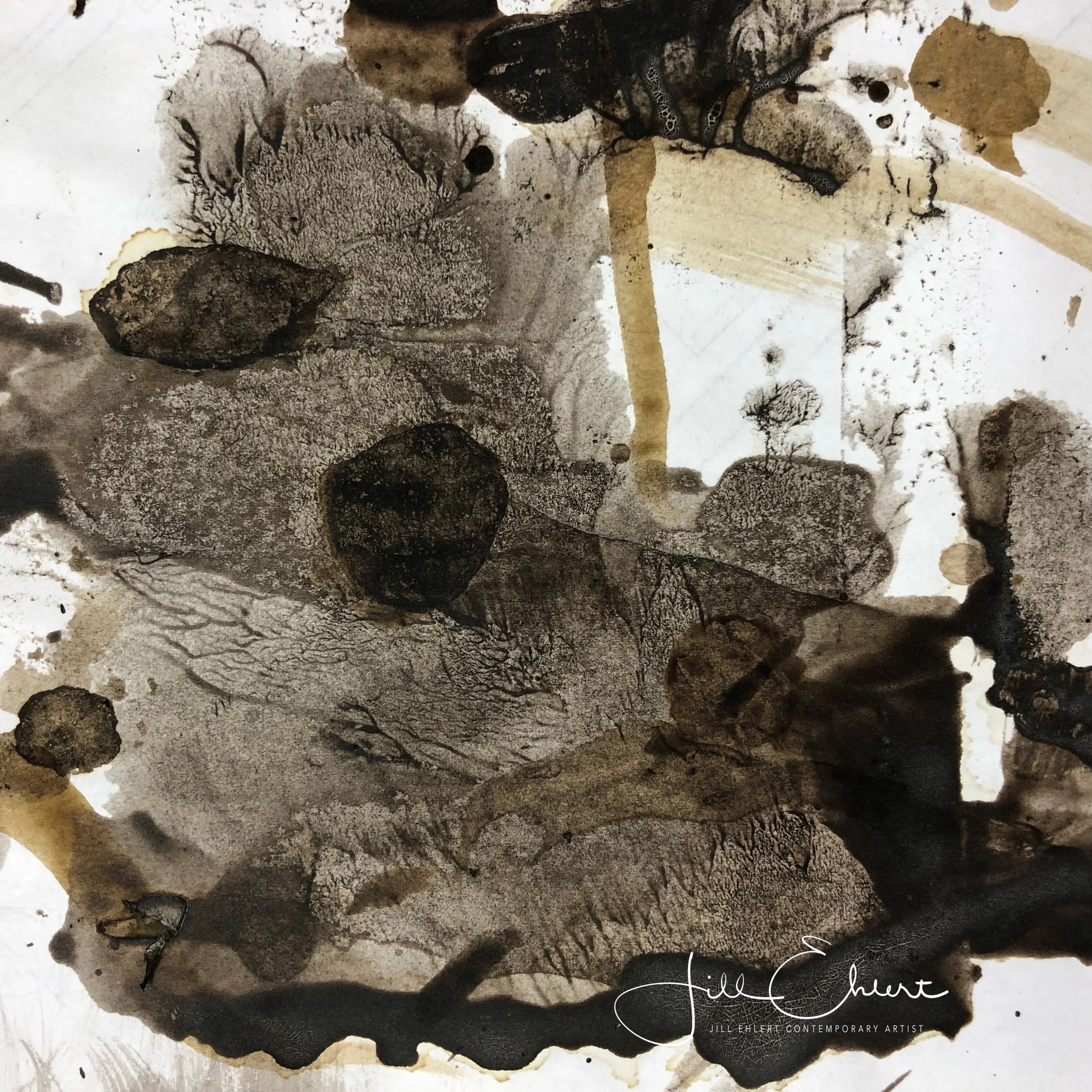 Watermarked6(2018-10-24-1552).jpg