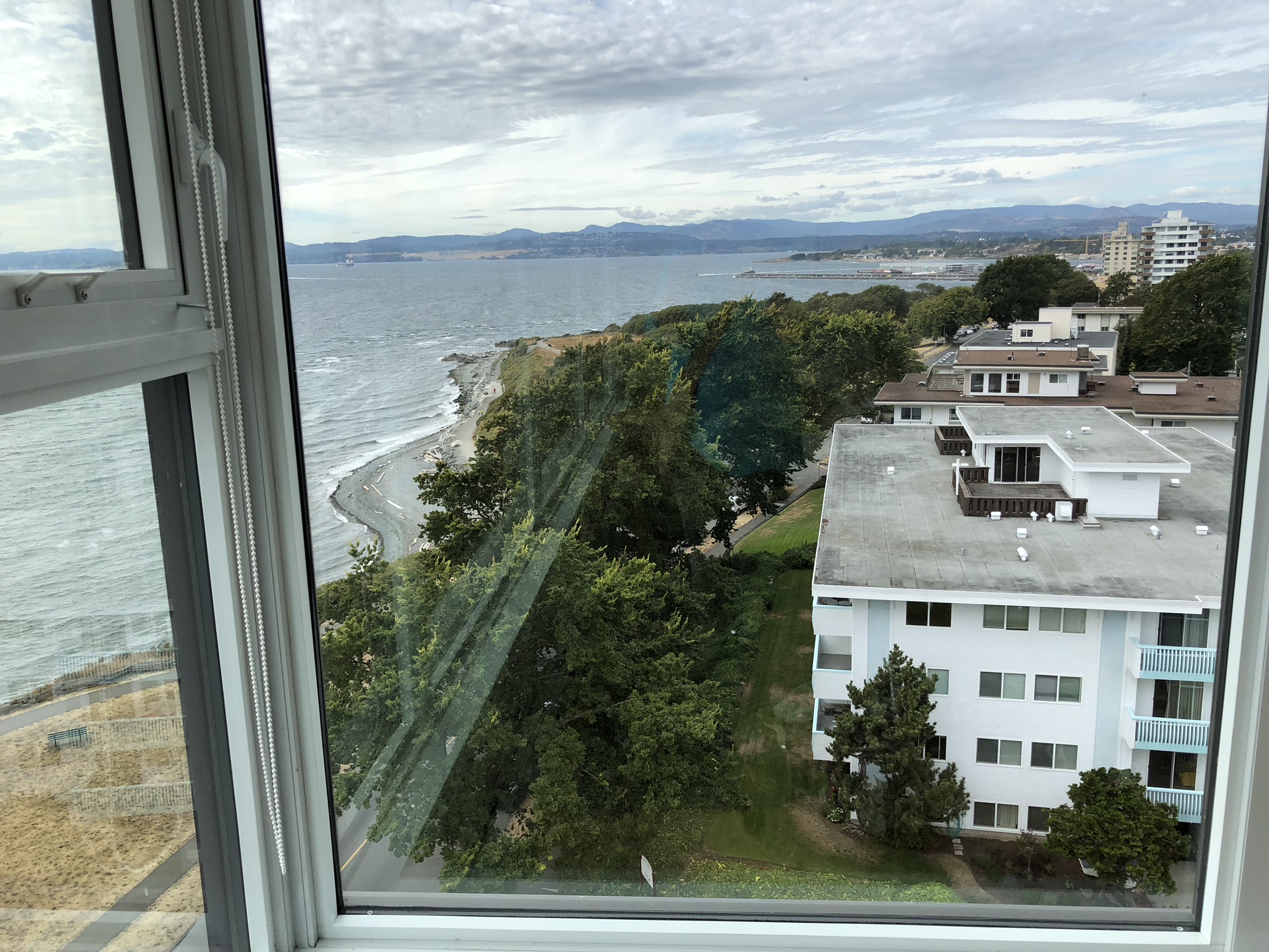 IMG_4311.jpeg
