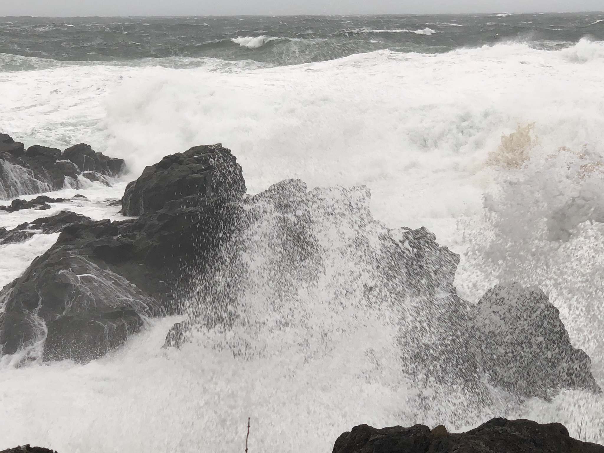 December 20th. This wave did hit me. Normally the water is about 30 feet lower, that is how big this storm was.