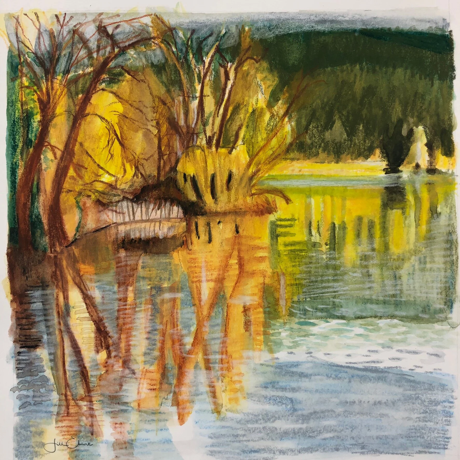 Caran d'Ache Neocolor II Watercolor Crayon on paper, 9”x9”