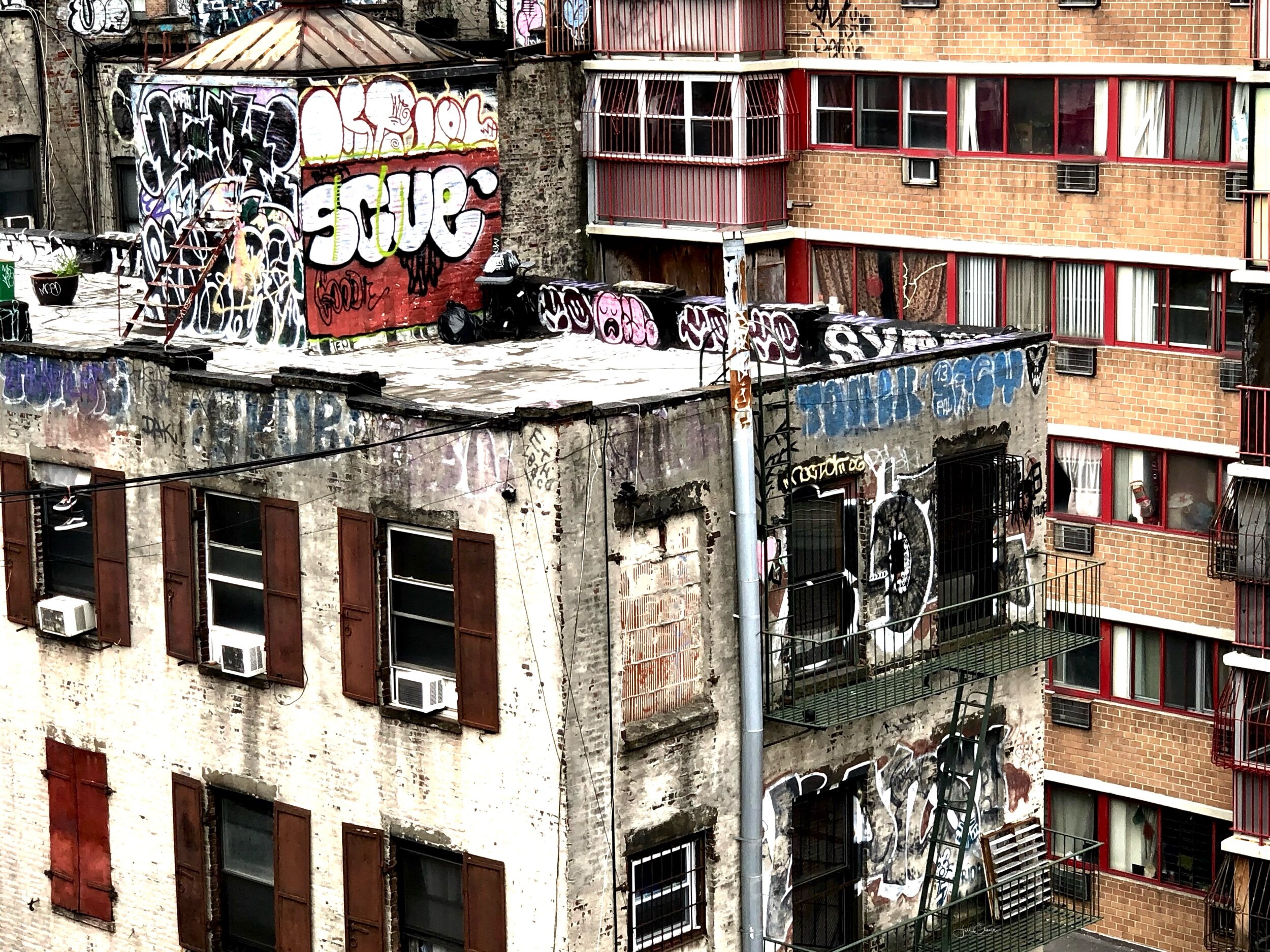 #37, NYC