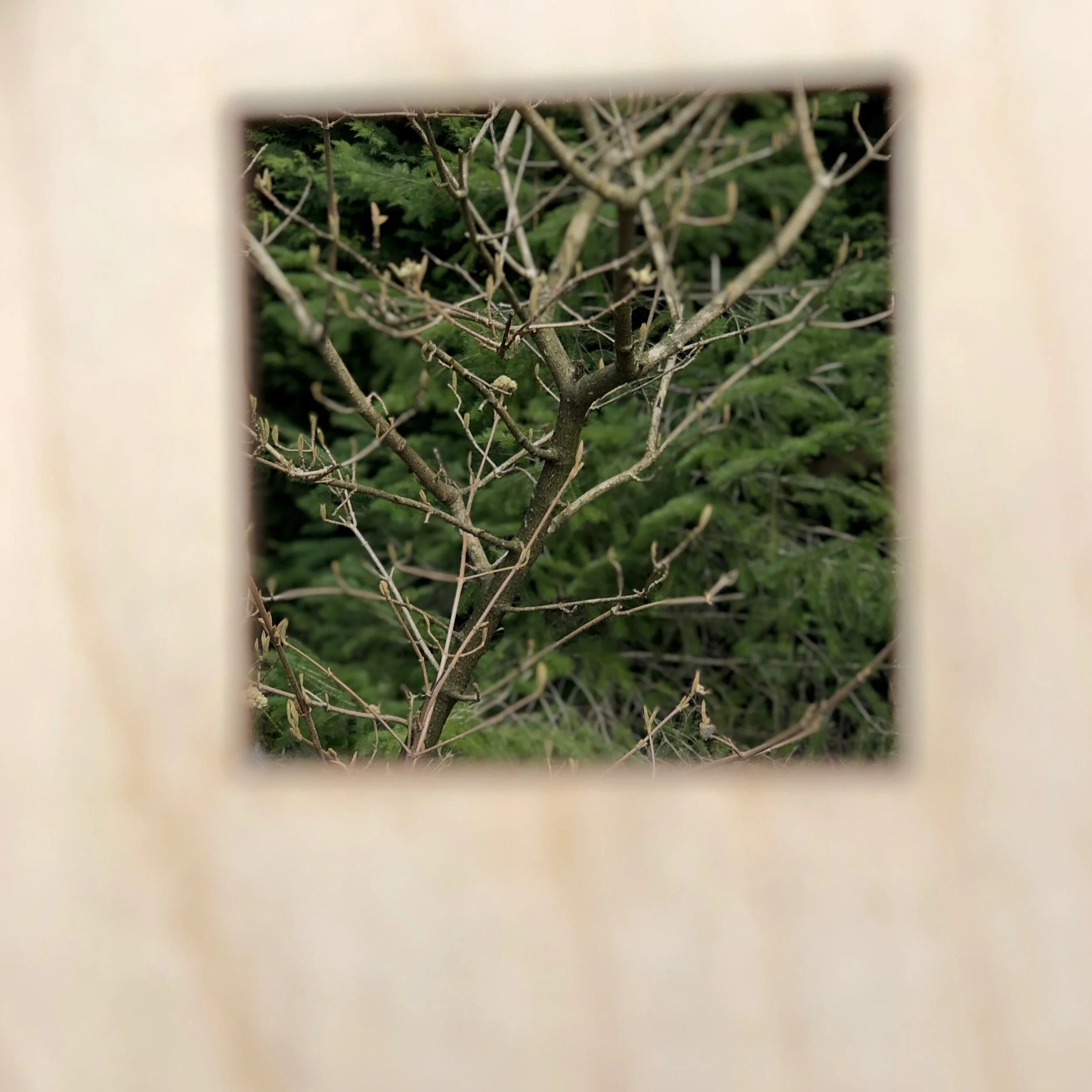 IMG_2597.jpeg