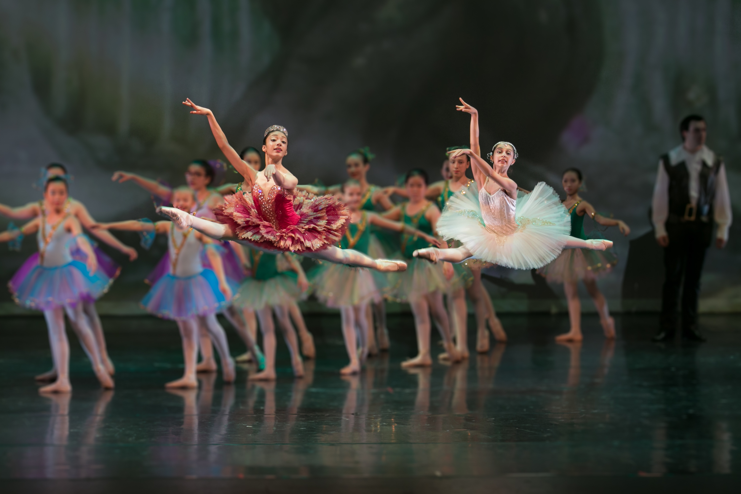 Shiva Parmar and Anastasia Miller Performing Don Quixote, Act II, Recital 2014