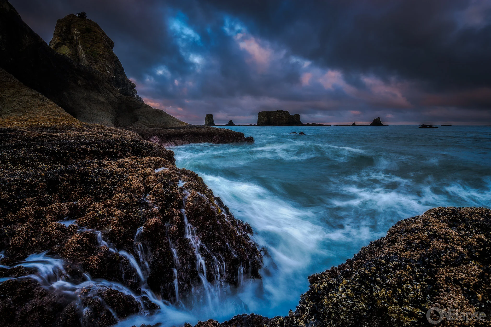 IMG_8334-Edit-copy.jpg