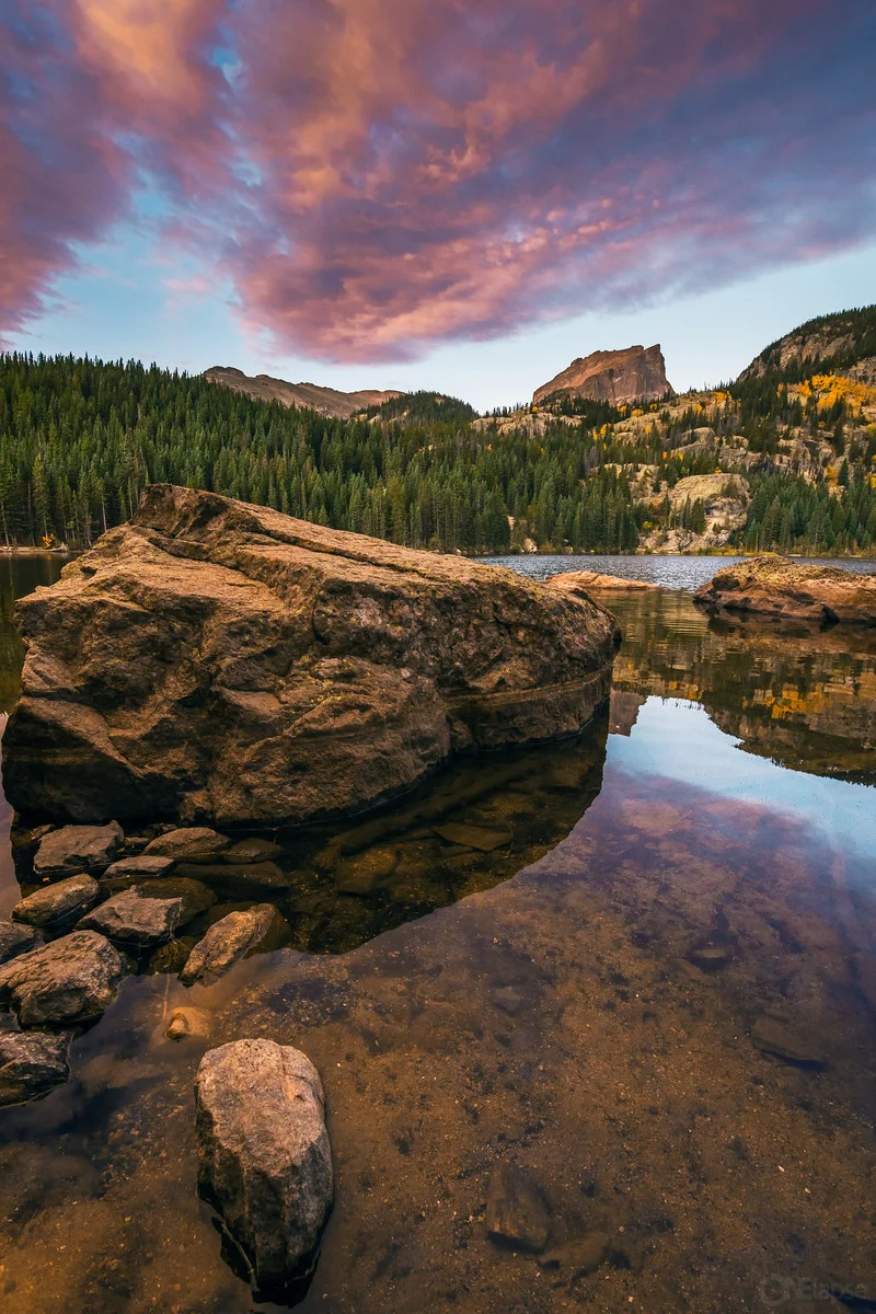 ONElapse_2015_edit_DSC06663.jpg