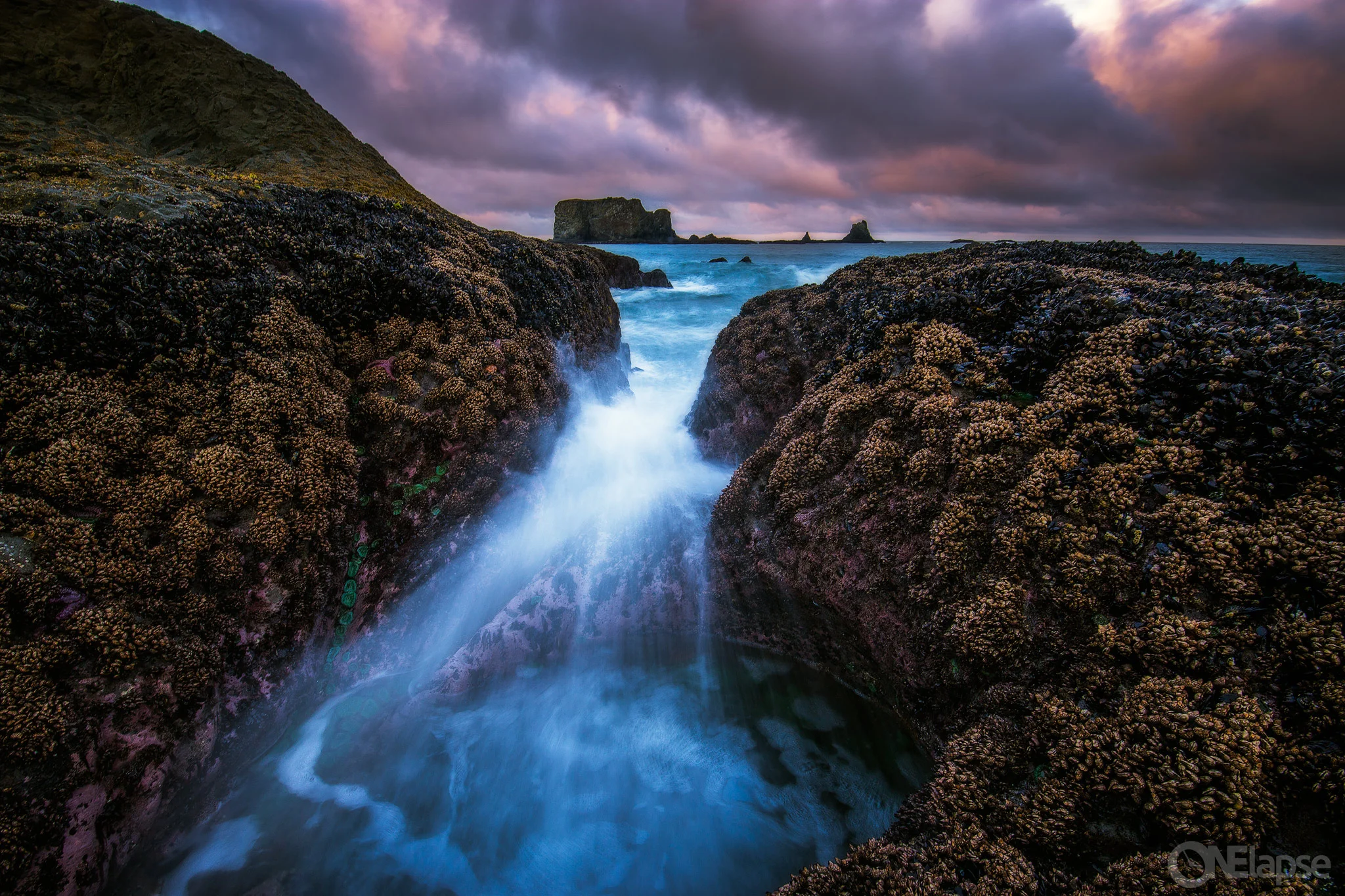 IMG_8336-Edit-copy.jpg