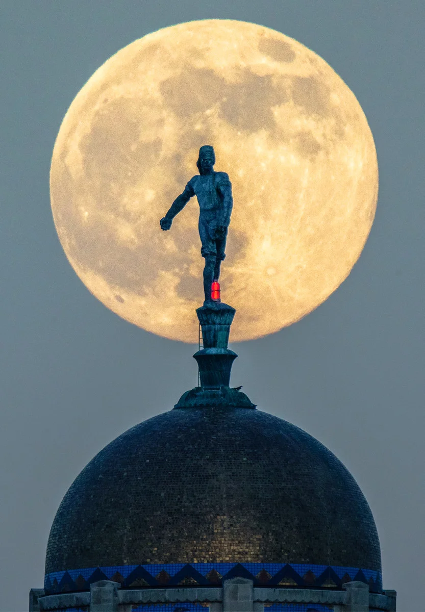 Fullmoon Sower