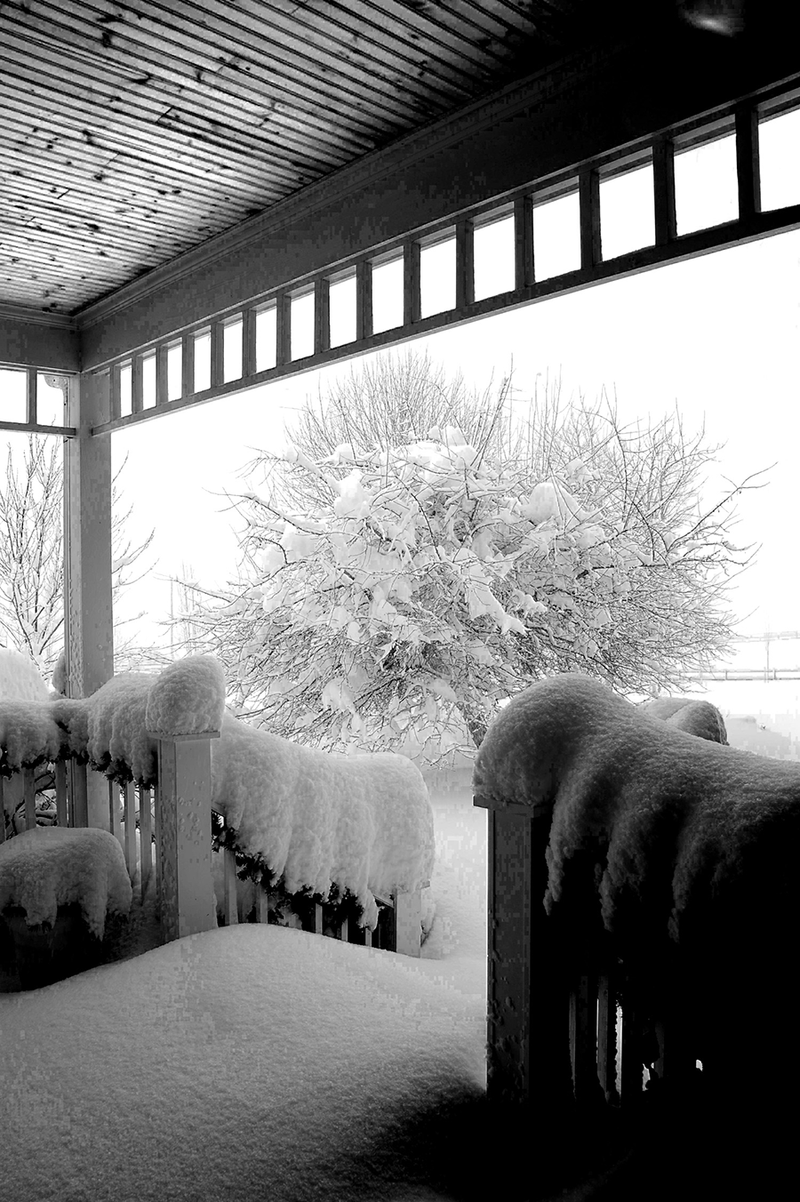 Blizzard of 2010