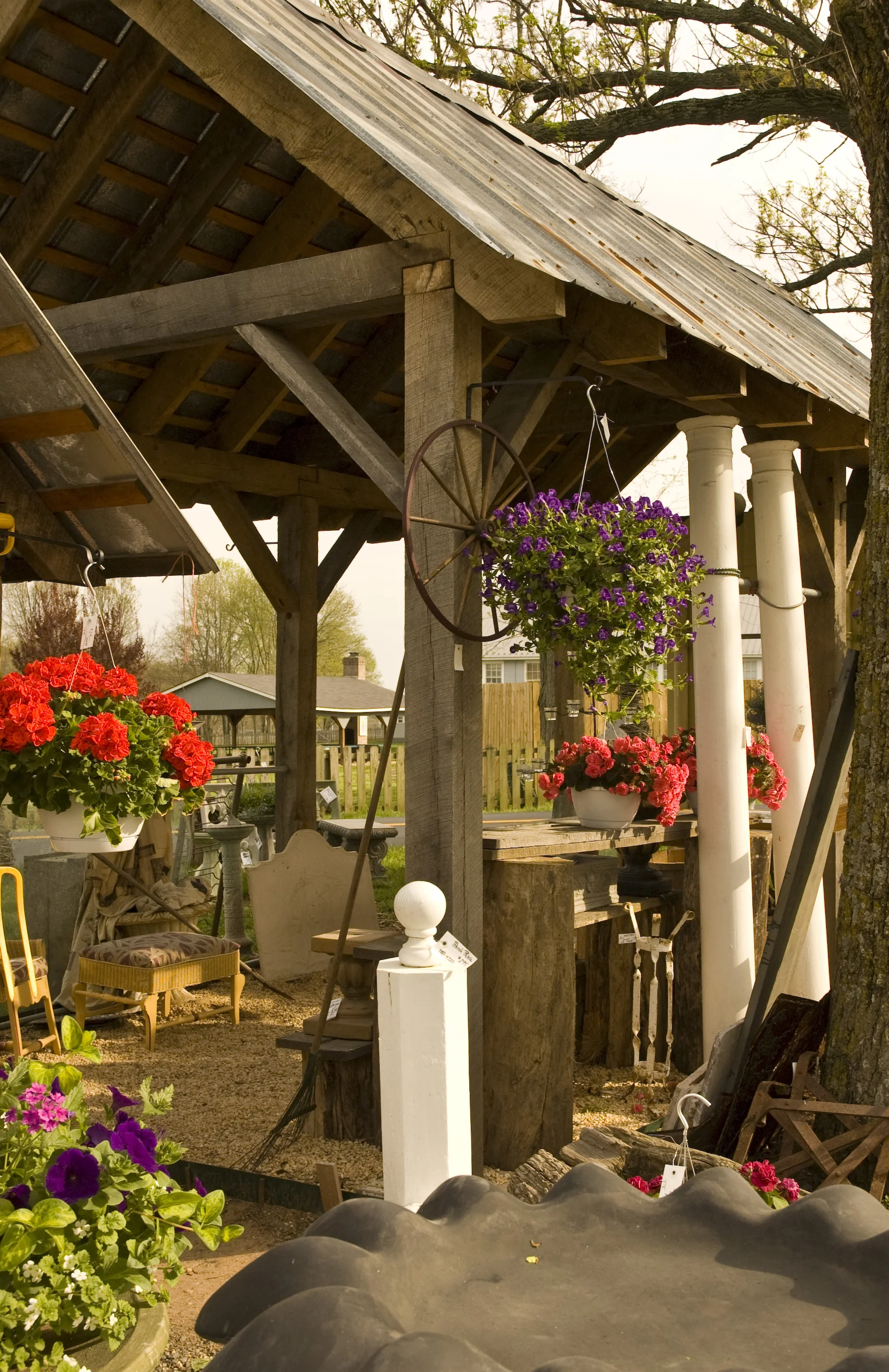Shanty Pavillions-