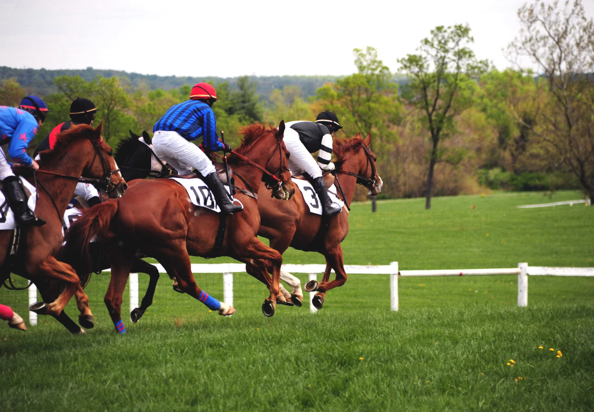 loudoun point-to-point 1.jpg